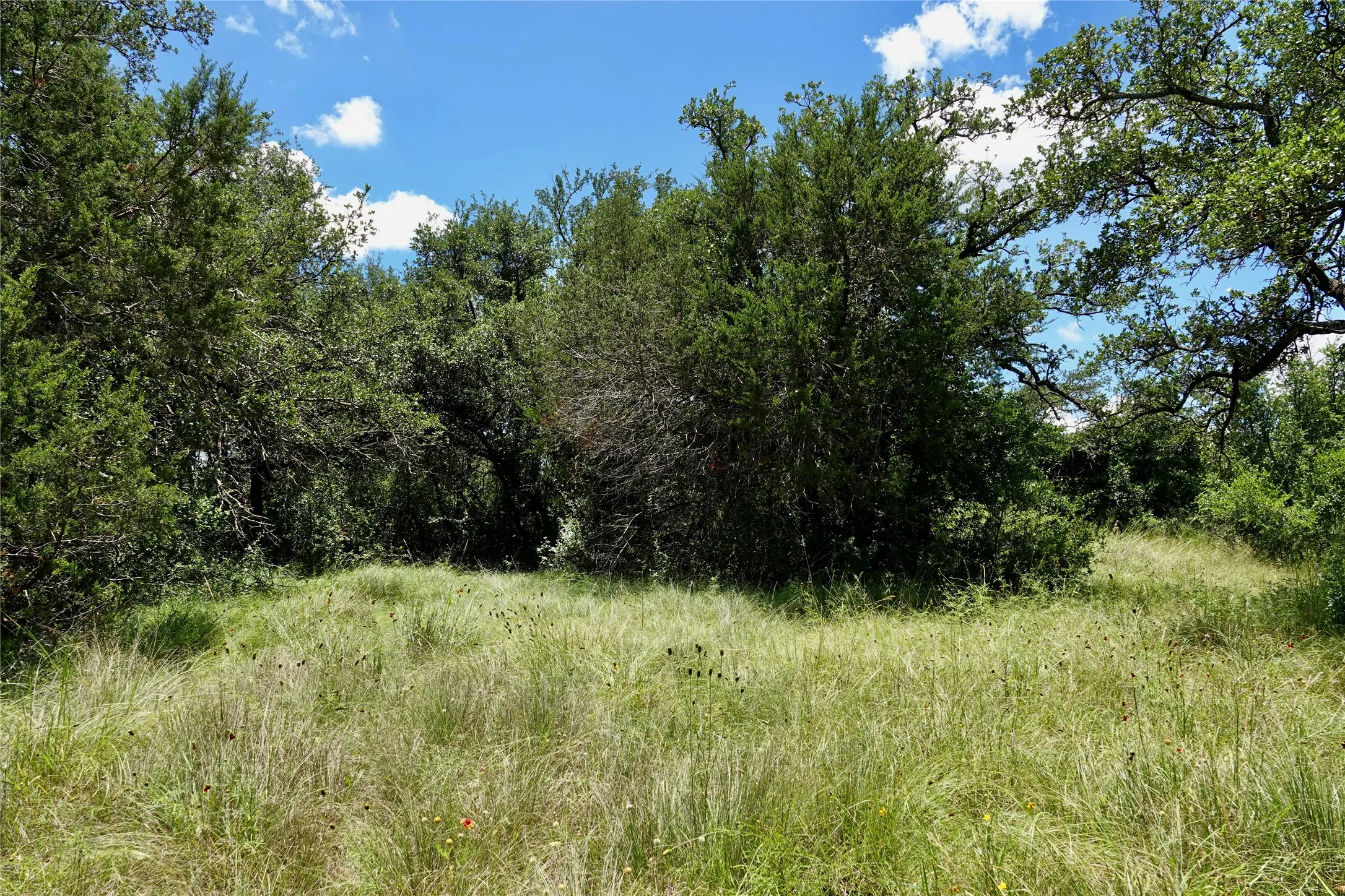 Manufactured Home For Sale in Mills County , 170 CR 505, Goldthwaite, Texas 76844, 3 Bedroom, 2 Bathroom, Garage spaces, 1,512 Sqft, built in 1994, mls#21309918, Real Estate Agent in Goldthwaite, Homes For Sale in Mills county, Homes For Sale in Goldthwaite, Realtor in Goldthwaite Texas, Real Estate Brokerage Independent Realty Texas, Luminita Cordes Realtor