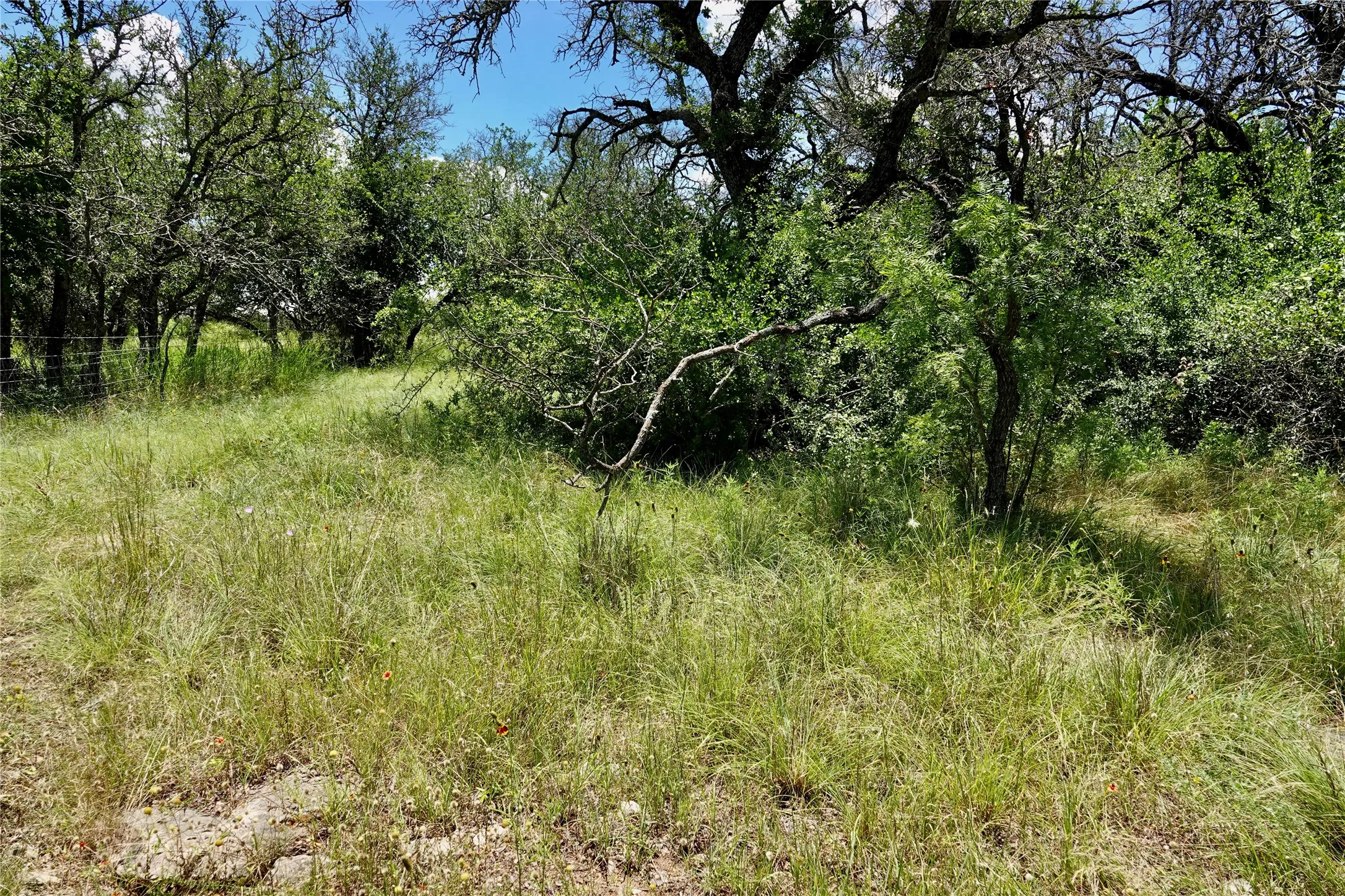 Manufactured Home For Sale in Mills County , 170 CR 505, Goldthwaite, Texas 76844, 3 Bedroom, 2 Bathroom, Garage spaces, 1,512 Sqft, built in 1994, mls#21309918, Real Estate Agent in Goldthwaite, Homes For Sale in Mills county, Homes For Sale in Goldthwaite, Realtor in Goldthwaite Texas, Real Estate Brokerage Independent Realty Texas, Luminita Cordes Realtor
