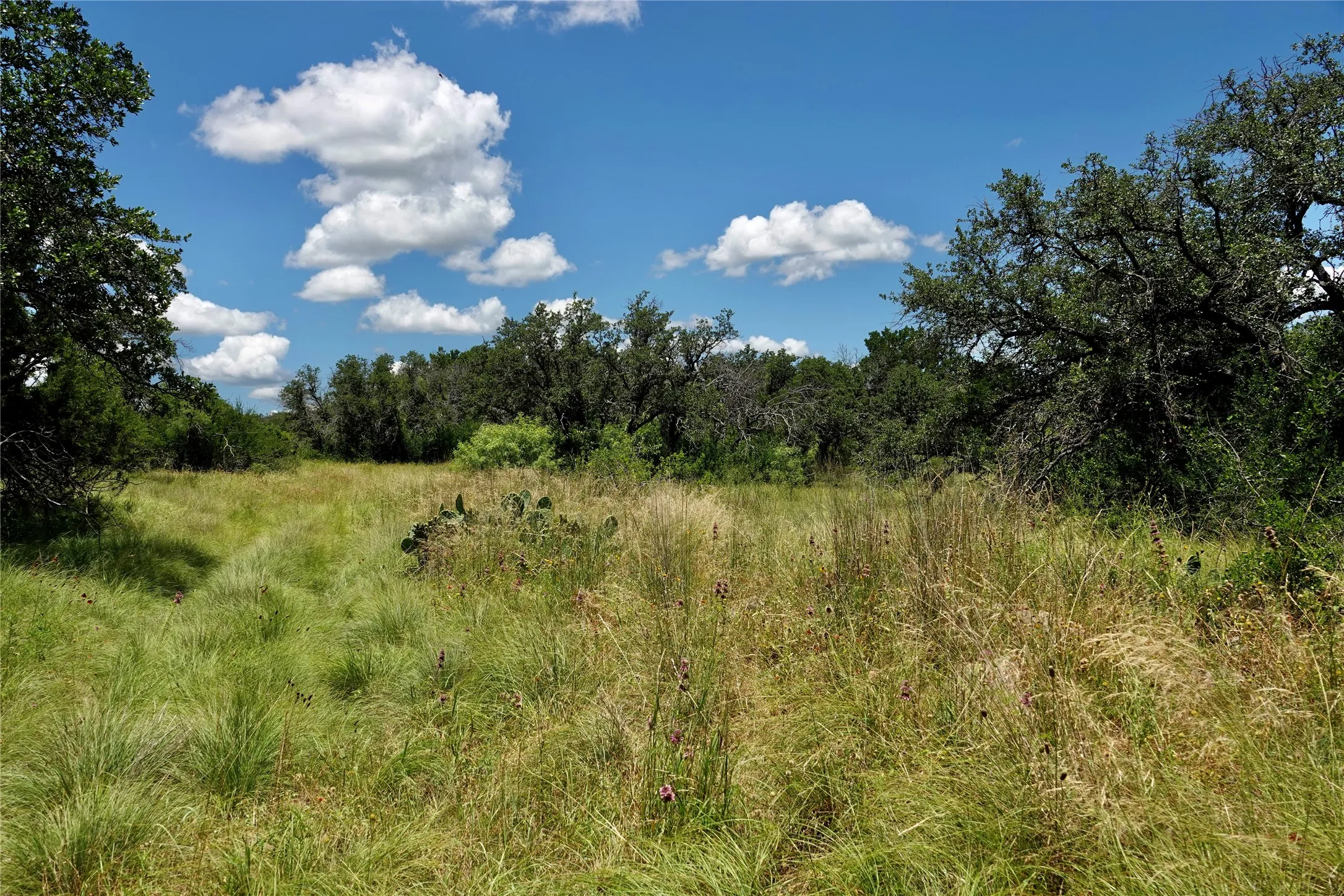 Manufactured Home For Sale in Mills County , 170 CR 505, Goldthwaite, Texas 76844, 3 Bedroom, 2 Bathroom, Garage spaces, 1,512 Sqft, built in 1994, mls#21309918, Real Estate Agent in Goldthwaite, Homes For Sale in Mills county, Homes For Sale in Goldthwaite, Realtor in Goldthwaite Texas, Real Estate Brokerage Independent Realty Texas, Luminita Cordes Realtor