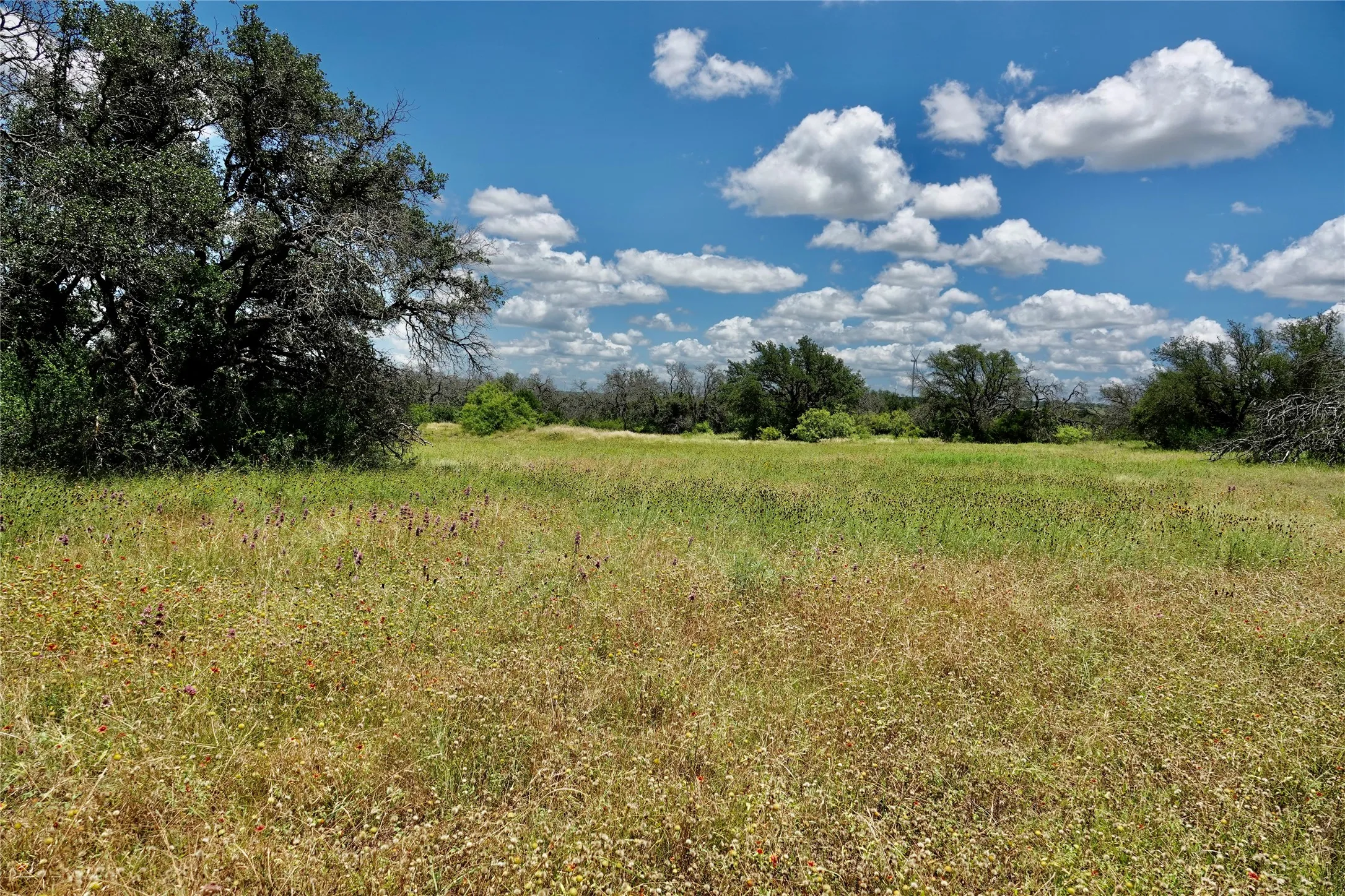 Manufactured Home For Sale in Mills County , 170 CR 505, Goldthwaite, Texas 76844, 3 Bedroom, 2 Bathroom, Garage spaces, 1,512 Sqft, built in 1994, mls#21309918, Real Estate Agent in Goldthwaite, Homes For Sale in Mills county, Homes For Sale in Goldthwaite, Realtor in Goldthwaite Texas, Real Estate Brokerage Independent Realty Texas, Luminita Cordes Realtor