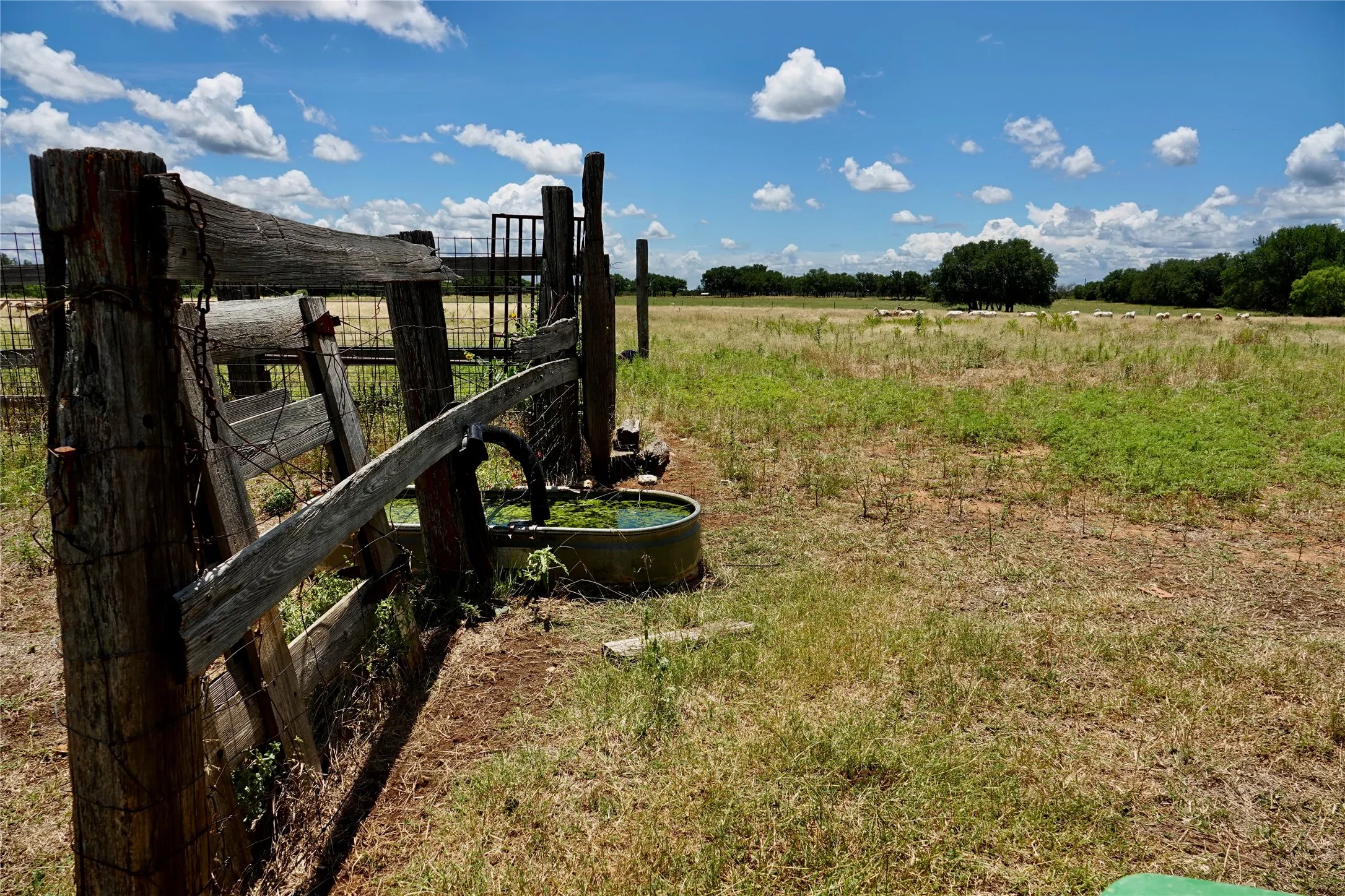 Manufactured Home For Sale in Mills County , 170 CR 505, Goldthwaite, Texas 76844, 3 Bedroom, 2 Bathroom, Garage spaces, 1,512 Sqft, built in 1994, mls#21309918, Real Estate Agent in Goldthwaite, Homes For Sale in Mills county, Homes For Sale in Goldthwaite, Realtor in Goldthwaite Texas, Real Estate Brokerage Independent Realty Texas, Luminita Cordes Realtor