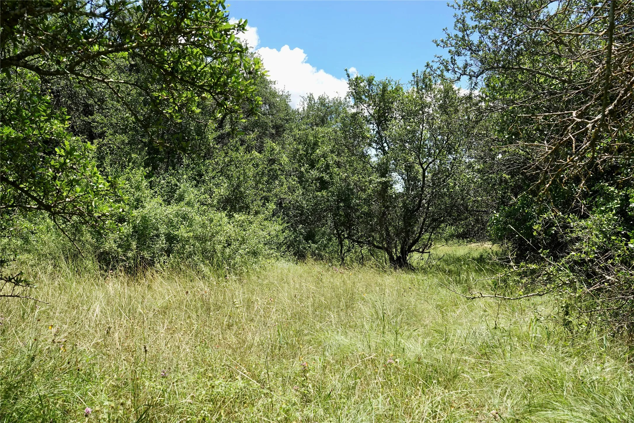 Manufactured Home For Sale in Mills County , 170 CR 505, Goldthwaite, Texas 76844, 3 Bedroom, 2 Bathroom, Garage spaces, 1,512 Sqft, built in 1994, mls#21309918, Real Estate Agent in Goldthwaite, Homes For Sale in Mills county, Homes For Sale in Goldthwaite, Realtor in Goldthwaite Texas, Real Estate Brokerage Independent Realty Texas, Luminita Cordes Realtor
