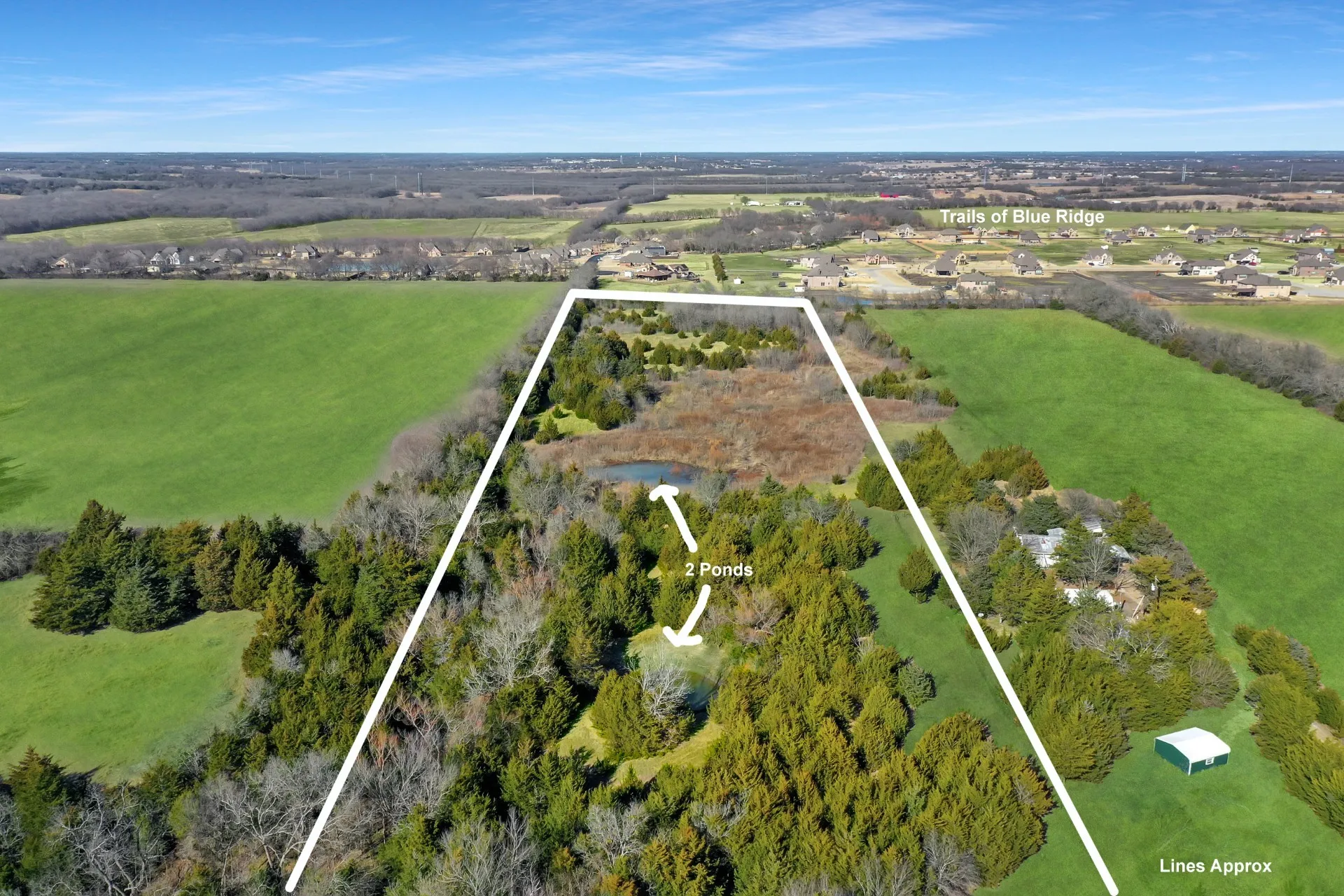 Unimproved Land For Sale in Collin County , 12253 County Road 574, Farmersville, Texas 75442, 0, 0, Garage spaces, 0 Sqft, built in 0, mls#21311485, Real Estate Agent in Farmersville, Homes For Sale in Collin county, Homes For Sale in Farmersville, Realtor in Farmersville Texas, Real Estate Brokerage Independent Realty Texas, Luminita Cordes Realtor