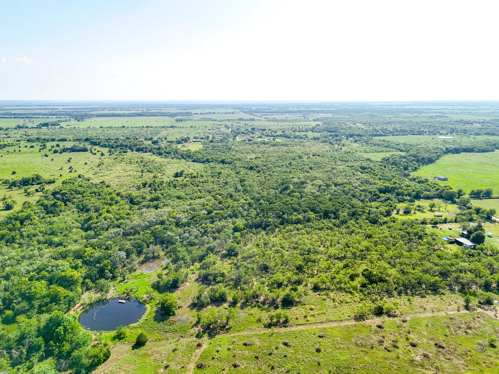 Unimproved Land For Sale in Navarro County , TBD NE CR 2035, Kerens, Texas 75144, 0, 0, Garage spaces, 0 Sqft, built in 0, mls#21310921, Real Estate Agent in Kerens, Homes For Sale in Navarro county, Homes For Sale in Kerens, Realtor in Kerens Texas, Real Estate Brokerage Independent Realty Texas, Luminita Cordes Realtor