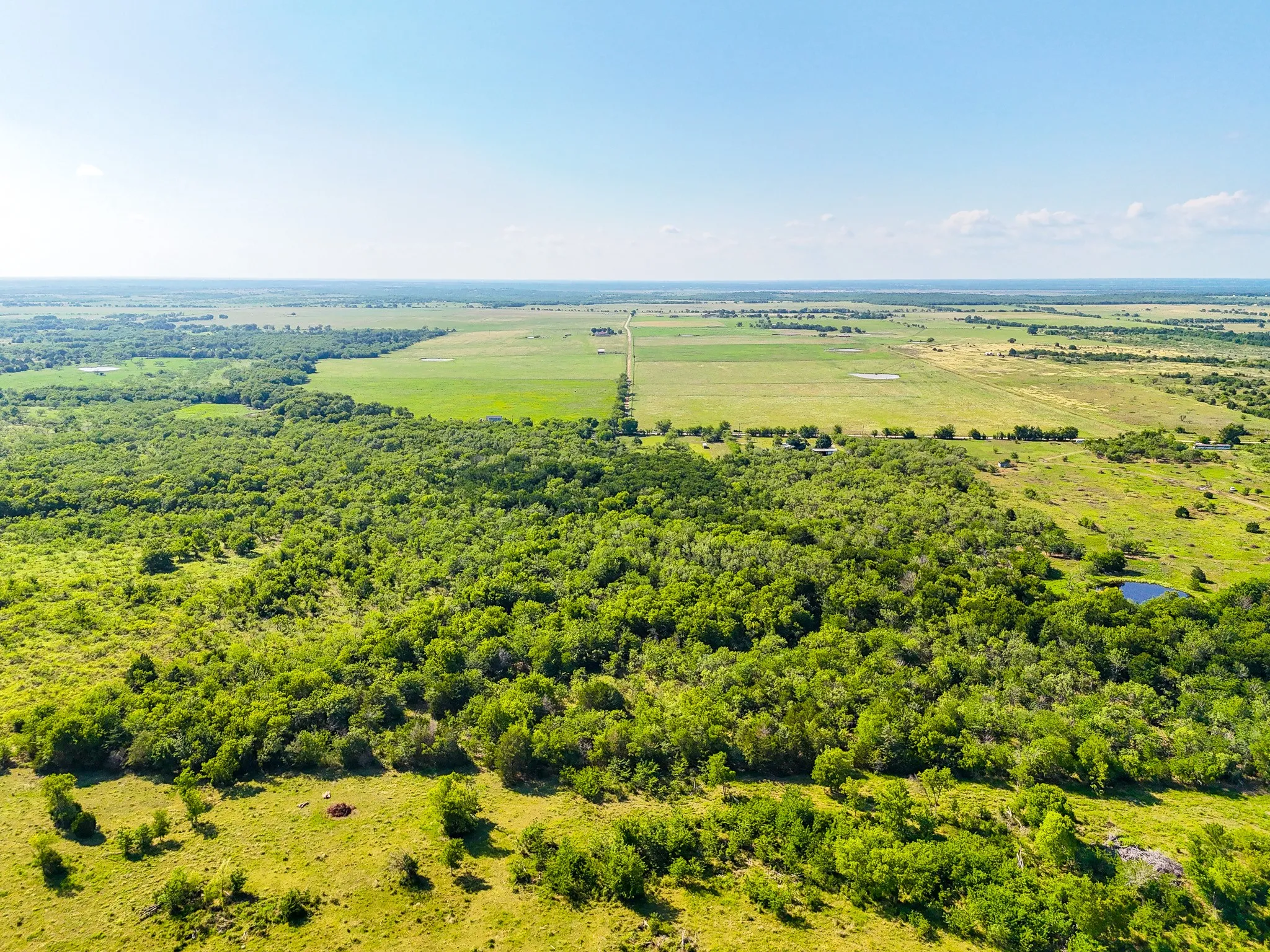 Unimproved Land For Sale in Navarro County , TBD NE CR 2035, Kerens, Texas 75144, 0, 0, Garage spaces, 0 Sqft, built in 0, mls#21310921, Real Estate Agent in Kerens, Homes For Sale in Navarro county, Homes For Sale in Kerens, Realtor in Kerens Texas, Real Estate Brokerage Independent Realty Texas, Luminita Cordes Realtor