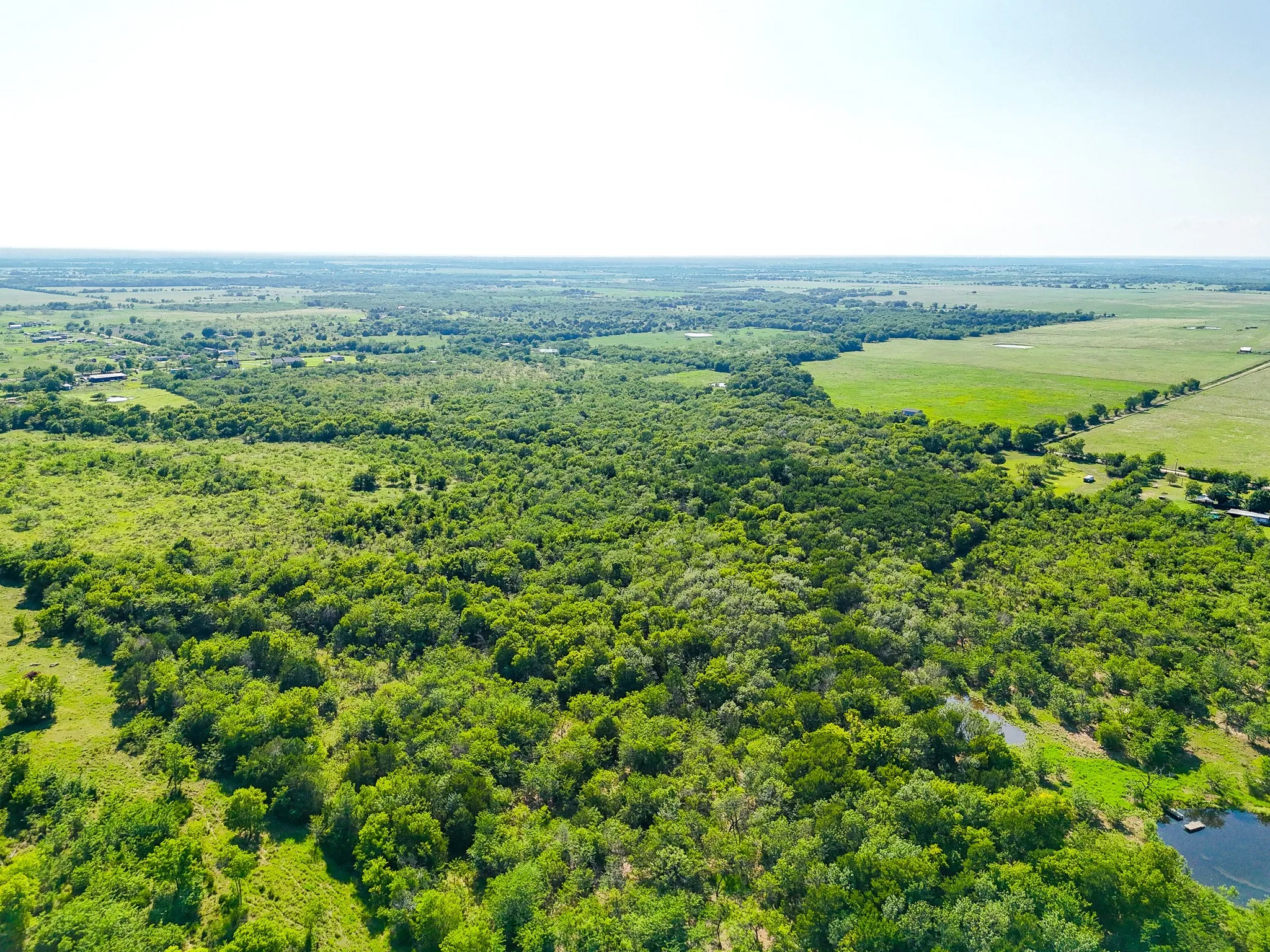 Unimproved Land For Sale in Navarro County , TBD NE CR 2035, Kerens, Texas 75144, 0, 0, Garage spaces, 0 Sqft, built in 0, mls#21310921, Real Estate Agent in Kerens, Homes For Sale in Navarro county, Homes For Sale in Kerens, Realtor in Kerens Texas, Real Estate Brokerage Independent Realty Texas, Luminita Cordes Realtor
