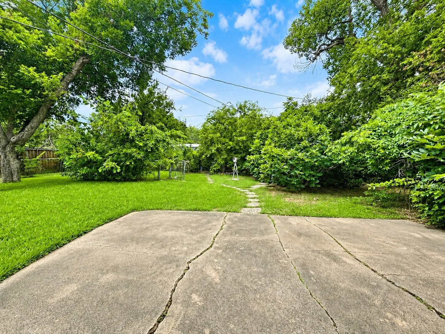 Back yard