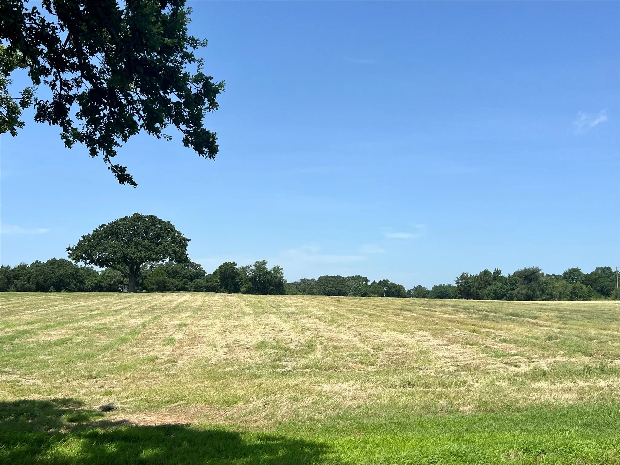 Recently mowed back pasture - possible opportunity for baling hay.