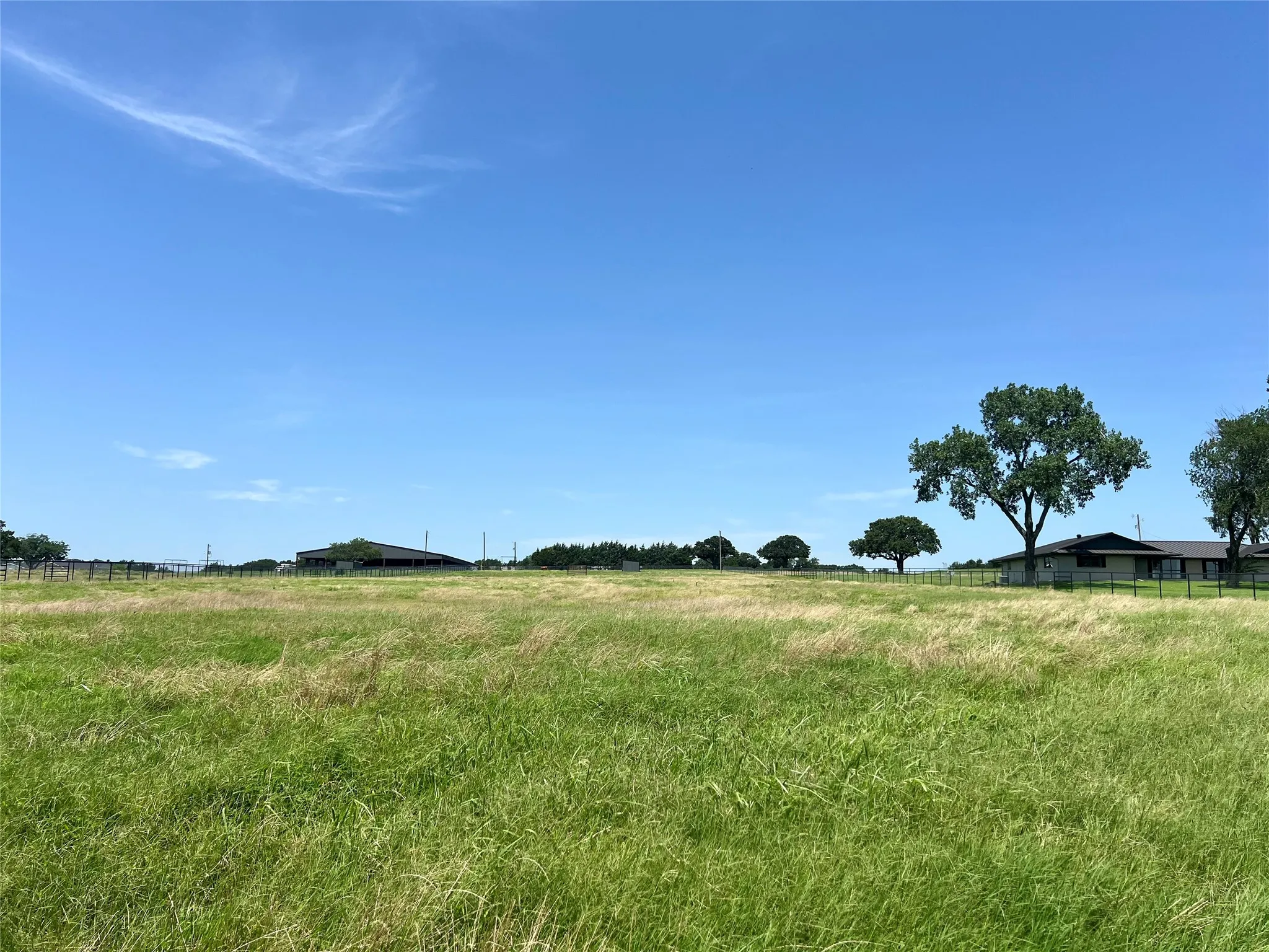 View of the rear pasture  - lush coastal grass for your livestock.