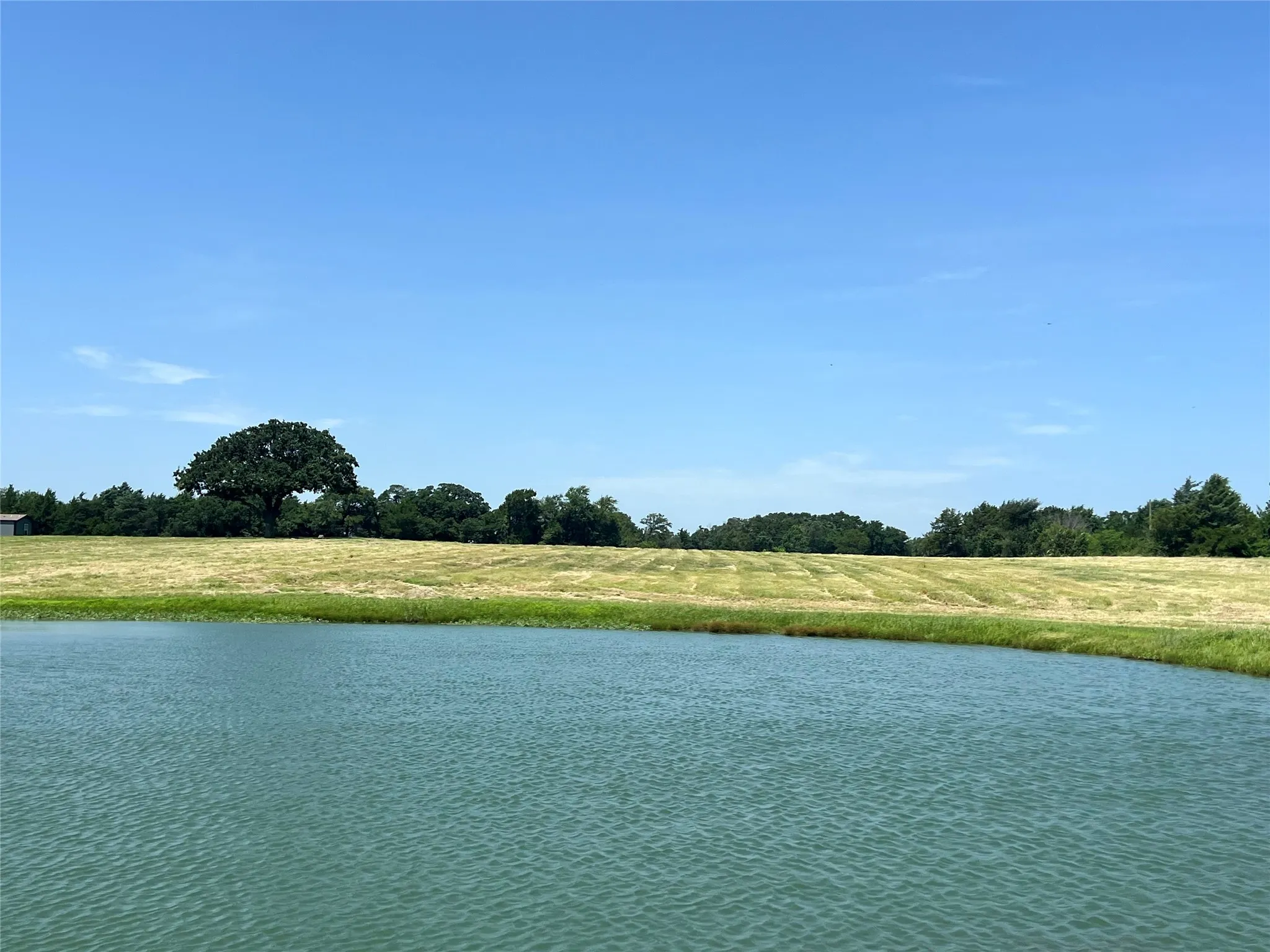 View of the back pasture - large pond and great coastal grass for your livestock.