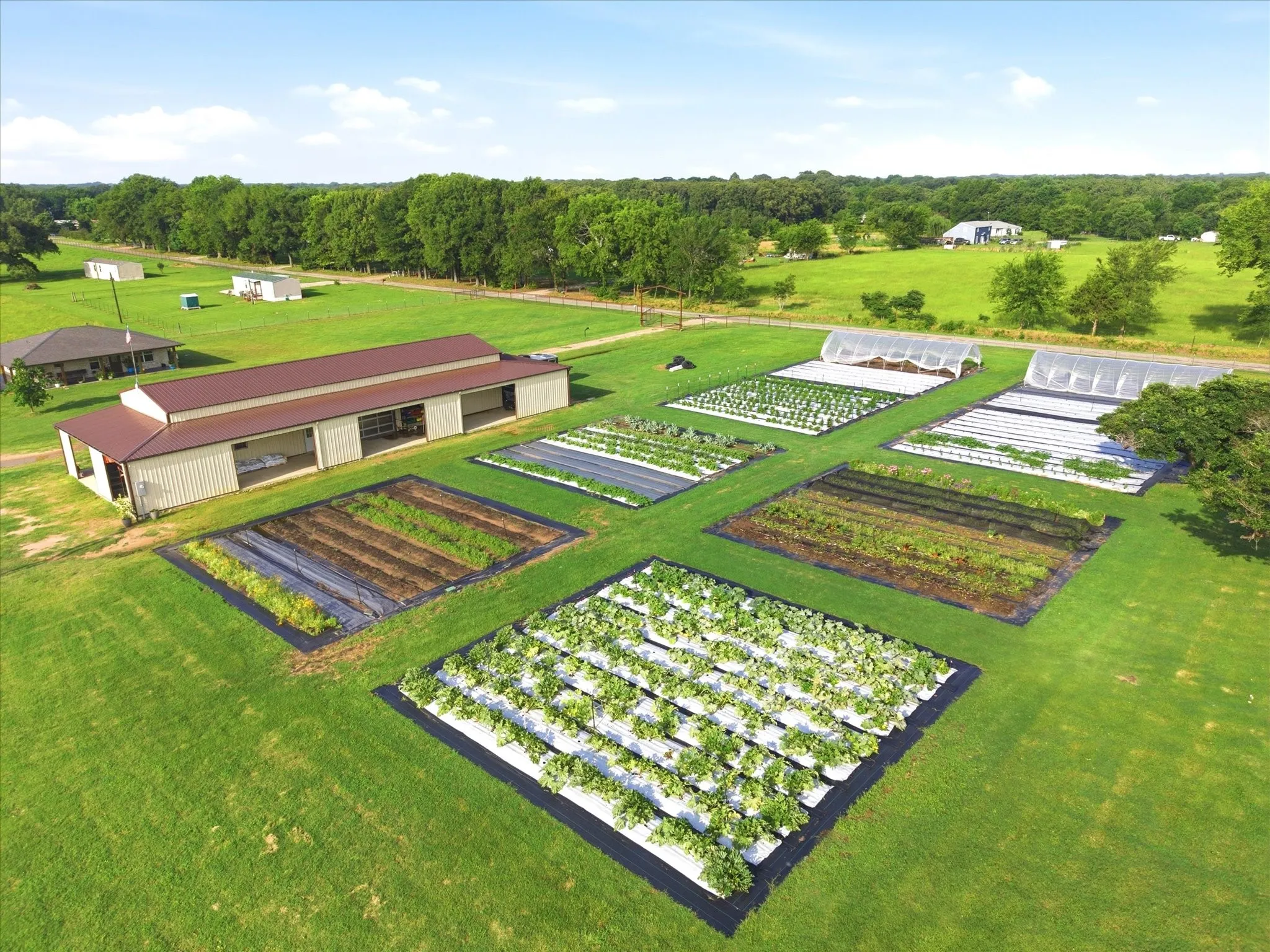 Business For Sale in Rains County , 4020 FM 515A, Emory, Texas 75440, 0, 0, Garage spaces, 0 Sqft, built in 2018, mls#21309209, Real Estate Agent in Emory, Homes For Sale in Rains county, Homes For Sale in Emory, Realtor in Emory Texas, Real Estate Brokerage Independent Realty Texas, Luminita Cordes Realtor