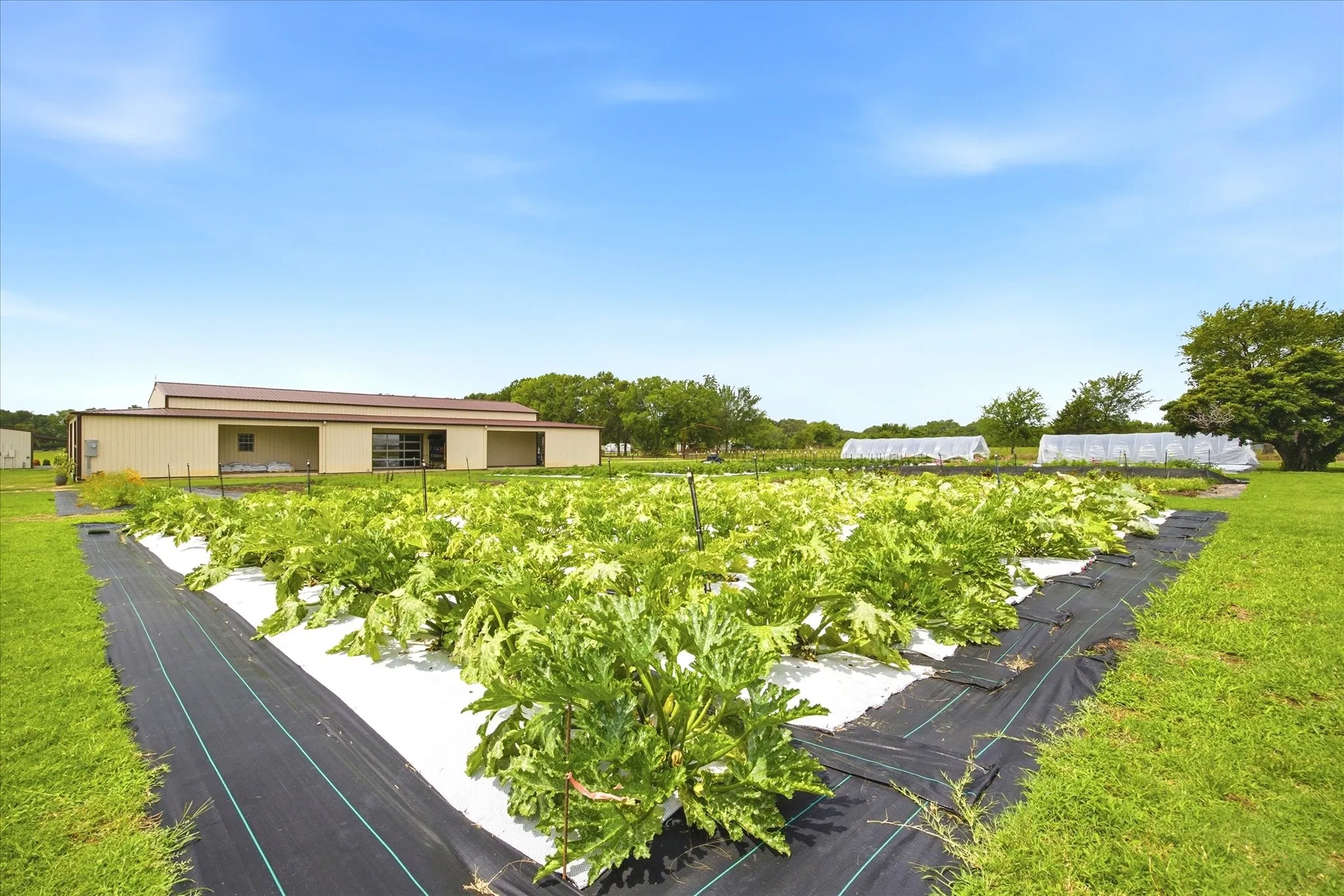 Business For Sale in Rains County , 4020 FM 515A, Emory, Texas 75440, 0, 0, Garage spaces, 0 Sqft, built in 2018, mls#21309209, Real Estate Agent in Emory, Homes For Sale in Rains county, Homes For Sale in Emory, Realtor in Emory Texas, Real Estate Brokerage Independent Realty Texas, Luminita Cordes Realtor