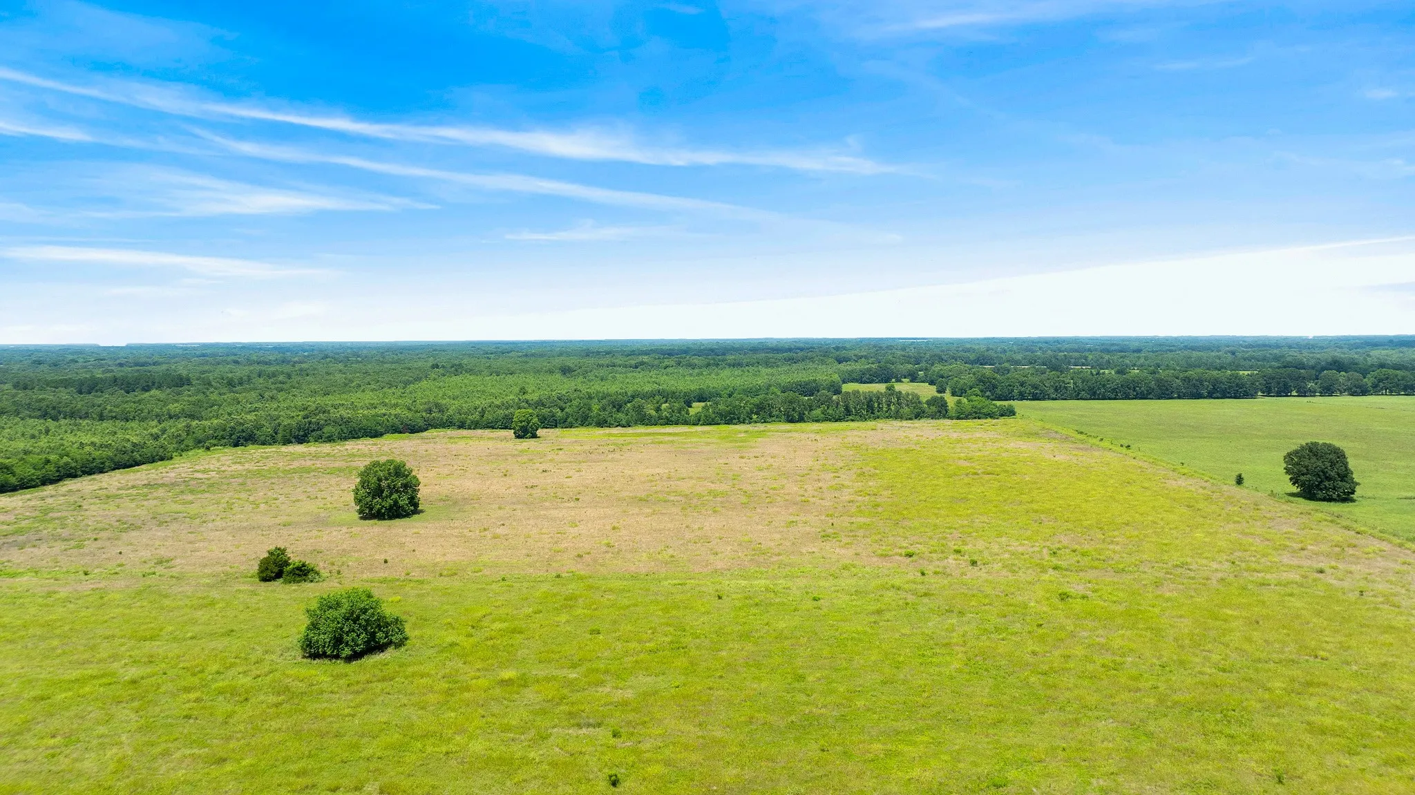 Improved Land For Sale in Red River (TX) County , 000 CR 1357, Clarksville, Texas 75426, 0, 0, Garage spaces, 0 Sqft, built in 0, mls#21311633, Real Estate Agent in Clarksville, Homes For Sale in Red River (TX) county, Homes For Sale in Clarksville, Realtor in Clarksville Texas, Real Estate Brokerage Independent Realty Texas, Luminita Cordes Realtor