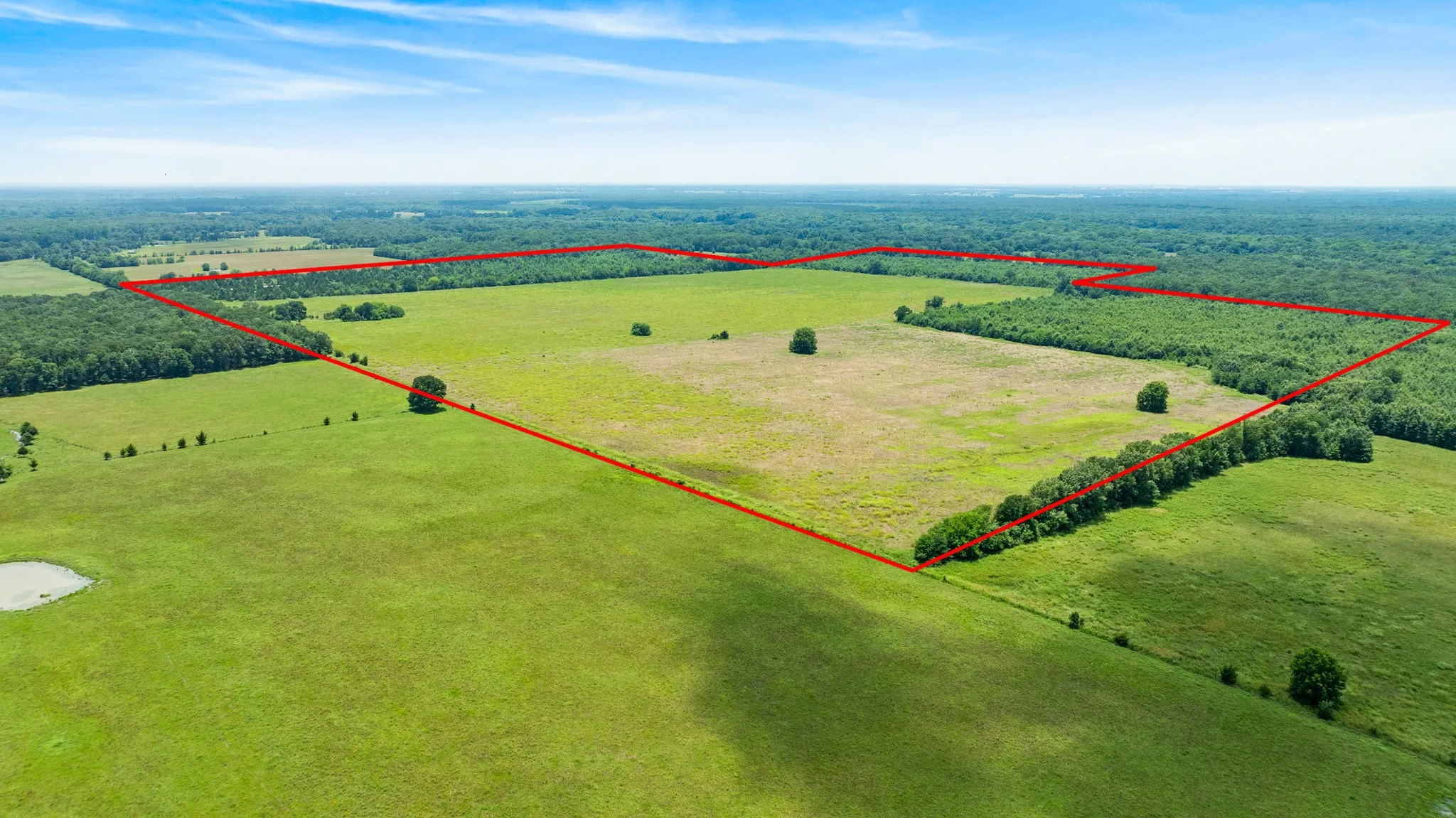 Improved Land For Sale in Red River (TX) County , 000 CR 1357, Clarksville, Texas 75426, 0, 0, Garage spaces, 0 Sqft, built in 0, mls#21311633, Real Estate Agent in Clarksville, Homes For Sale in Red River (TX) county, Homes For Sale in Clarksville, Realtor in Clarksville Texas, Real Estate Brokerage Independent Realty Texas, Luminita Cordes Realtor