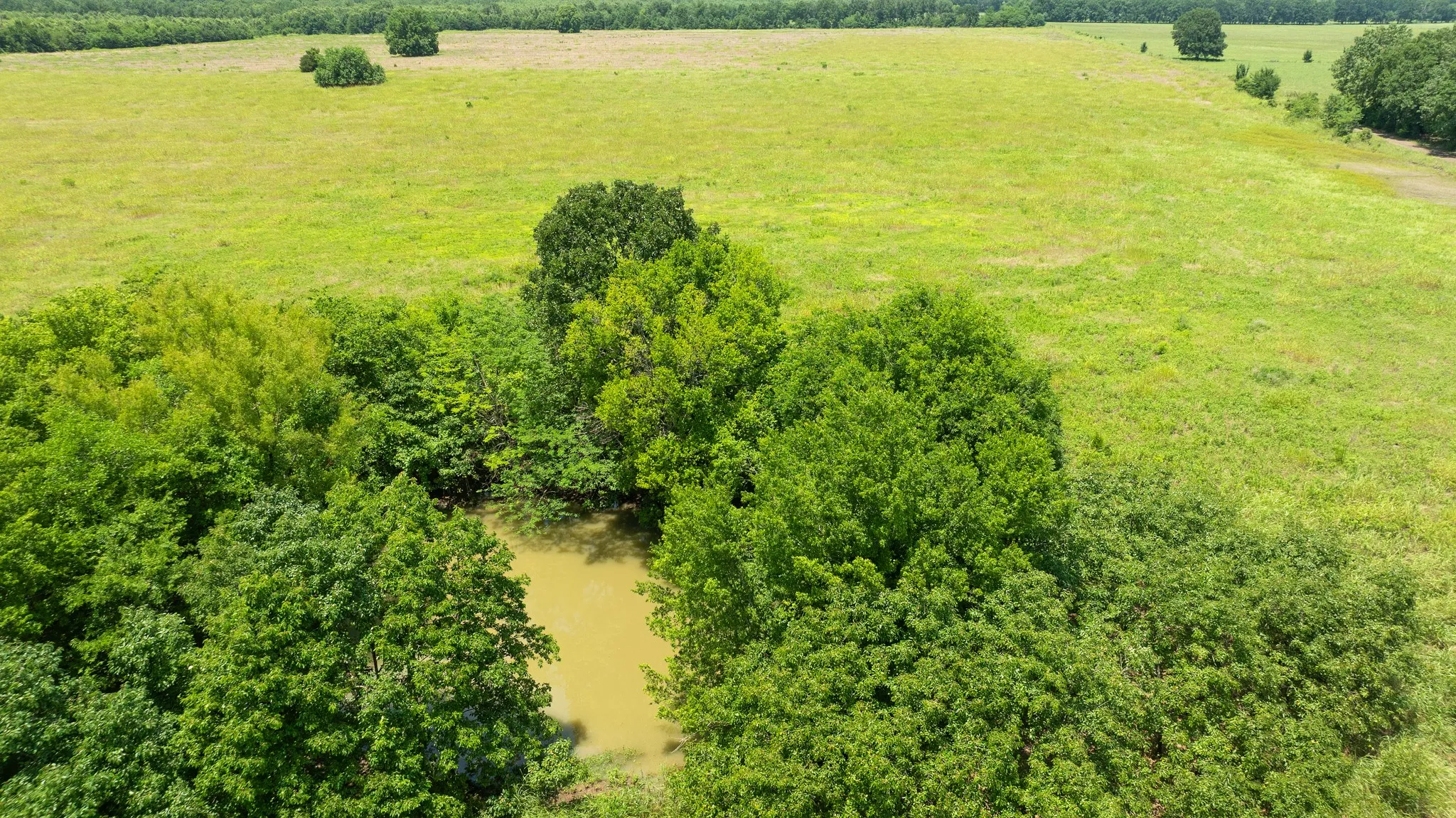 Improved Land For Sale in Red River (TX) County , 000 CR 1357, Clarksville, Texas 75426, 0, 0, Garage spaces, 0 Sqft, built in 0, mls#21311633, Real Estate Agent in Clarksville, Homes For Sale in Red River (TX) county, Homes For Sale in Clarksville, Realtor in Clarksville Texas, Real Estate Brokerage Independent Realty Texas, Luminita Cordes Realtor
