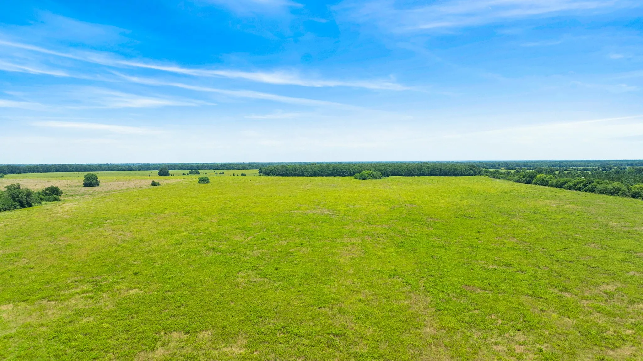 Improved Land For Sale in Red River (TX) County , 000 CR 1357, Clarksville, Texas 75426, 0, 0, Garage spaces, 0 Sqft, built in 0, mls#21311633, Real Estate Agent in Clarksville, Homes For Sale in Red River (TX) county, Homes For Sale in Clarksville, Realtor in Clarksville Texas, Real Estate Brokerage Independent Realty Texas, Luminita Cordes Realtor