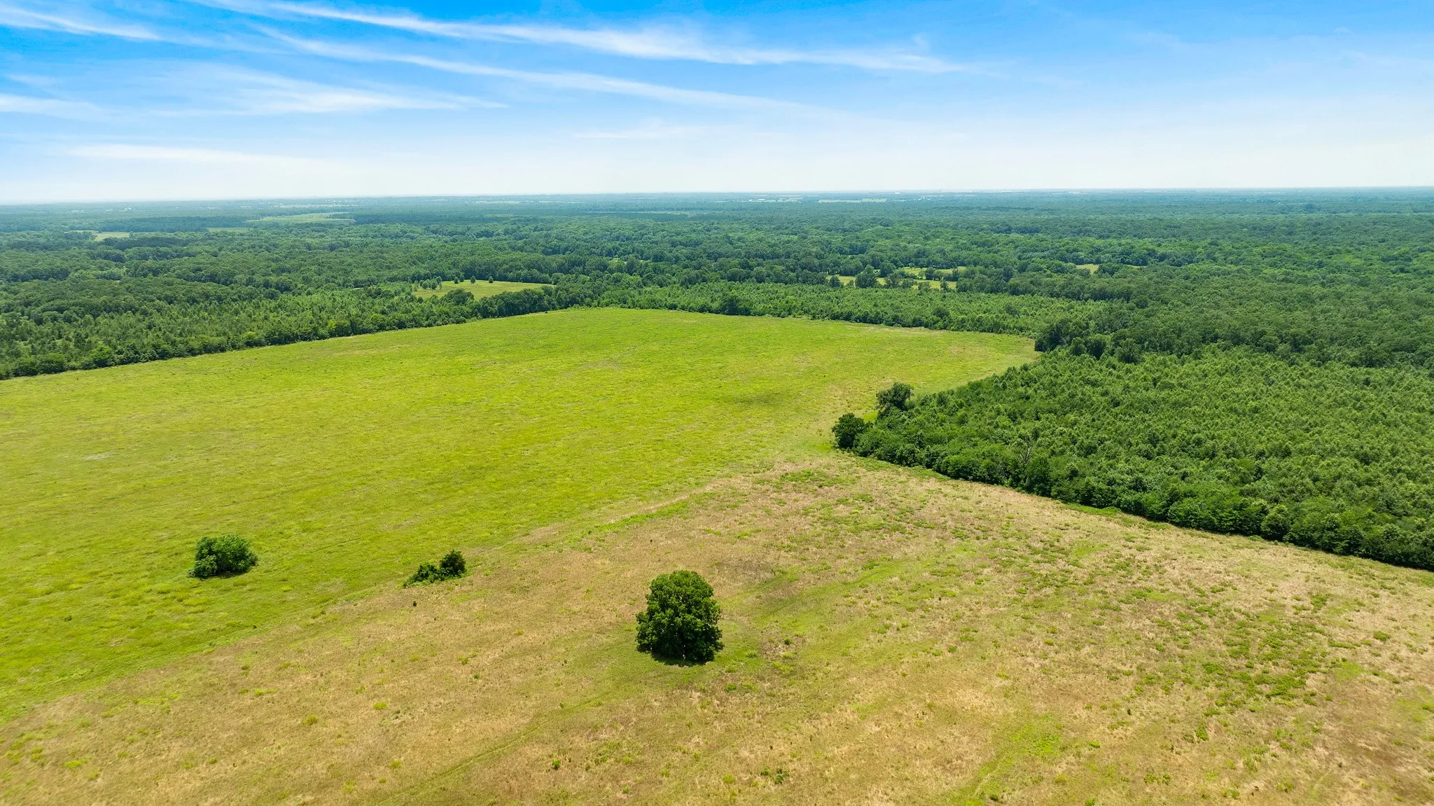 Improved Land For Sale in Red River (TX) County , 000 CR 1357, Clarksville, Texas 75426, 0, 0, Garage spaces, 0 Sqft, built in 0, mls#21311633, Real Estate Agent in Clarksville, Homes For Sale in Red River (TX) county, Homes For Sale in Clarksville, Realtor in Clarksville Texas, Real Estate Brokerage Independent Realty Texas, Luminita Cordes Realtor