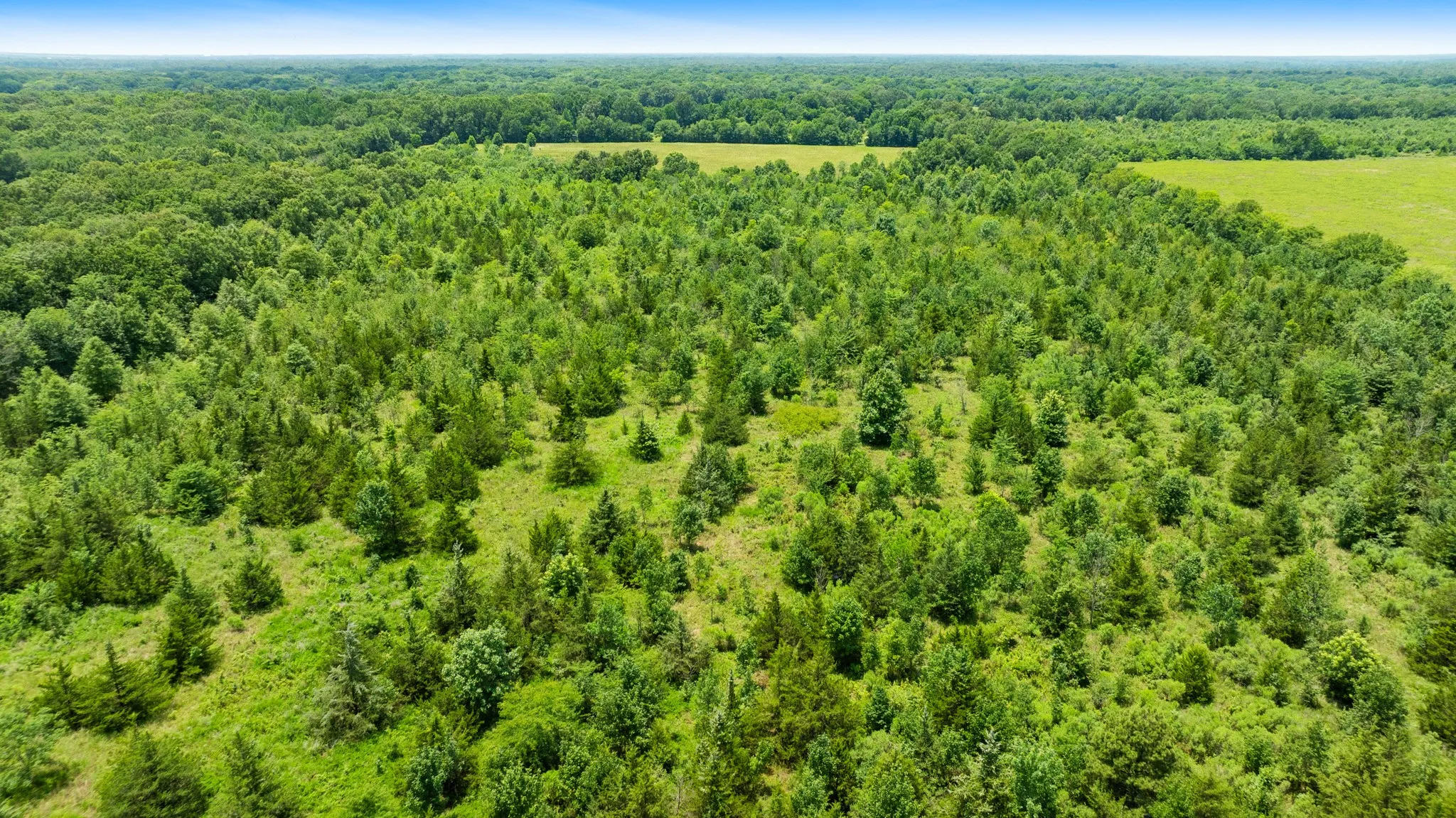 Improved Land For Sale in Red River (TX) County , 000 CR 1357, Clarksville, Texas 75426, 0, 0, Garage spaces, 0 Sqft, built in 0, mls#21311633, Real Estate Agent in Clarksville, Homes For Sale in Red River (TX) county, Homes For Sale in Clarksville, Realtor in Clarksville Texas, Real Estate Brokerage Independent Realty Texas, Luminita Cordes Realtor