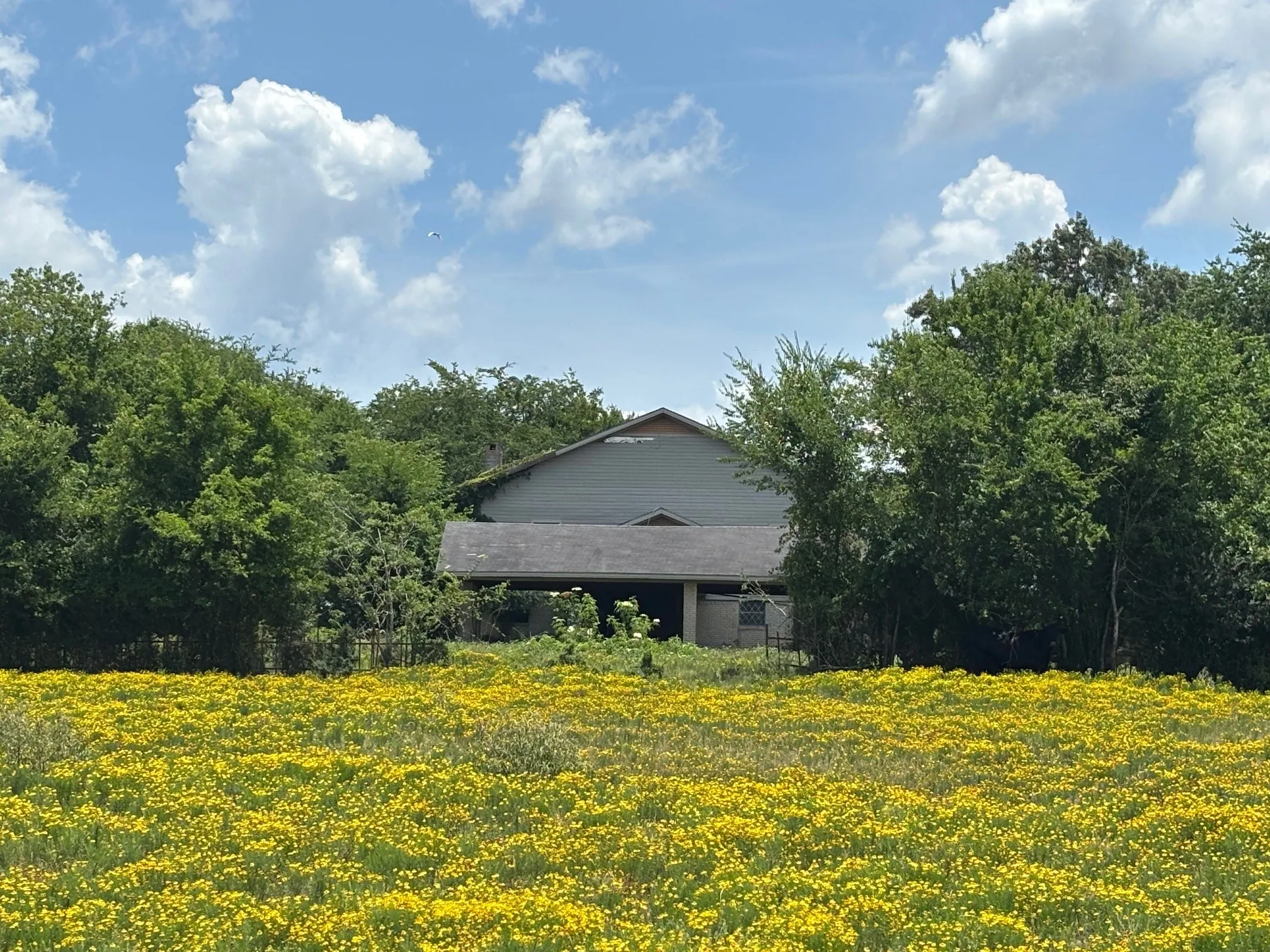 Single Family Residence For Rent in Angelina County , 3834 Fenley Flat Road, Lufkin, Texas 75969, 4 Bedrooms, 3 Bathrooms, 2 Garage spaces, 3,820 Sqft, built in 1974, Price $600, mls#21311726, Real Estate Agent in Lufkin, Homes For Rent in Angelina county, Homes For Rent in Lufkin, Realtor in Lufkin Texas, Real Estate Brokerage Independent Realty Texas, Luminita Cordes Realtor