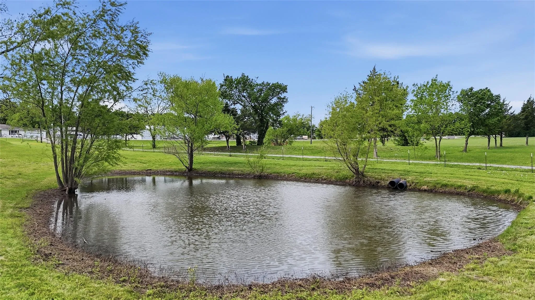Pond #2