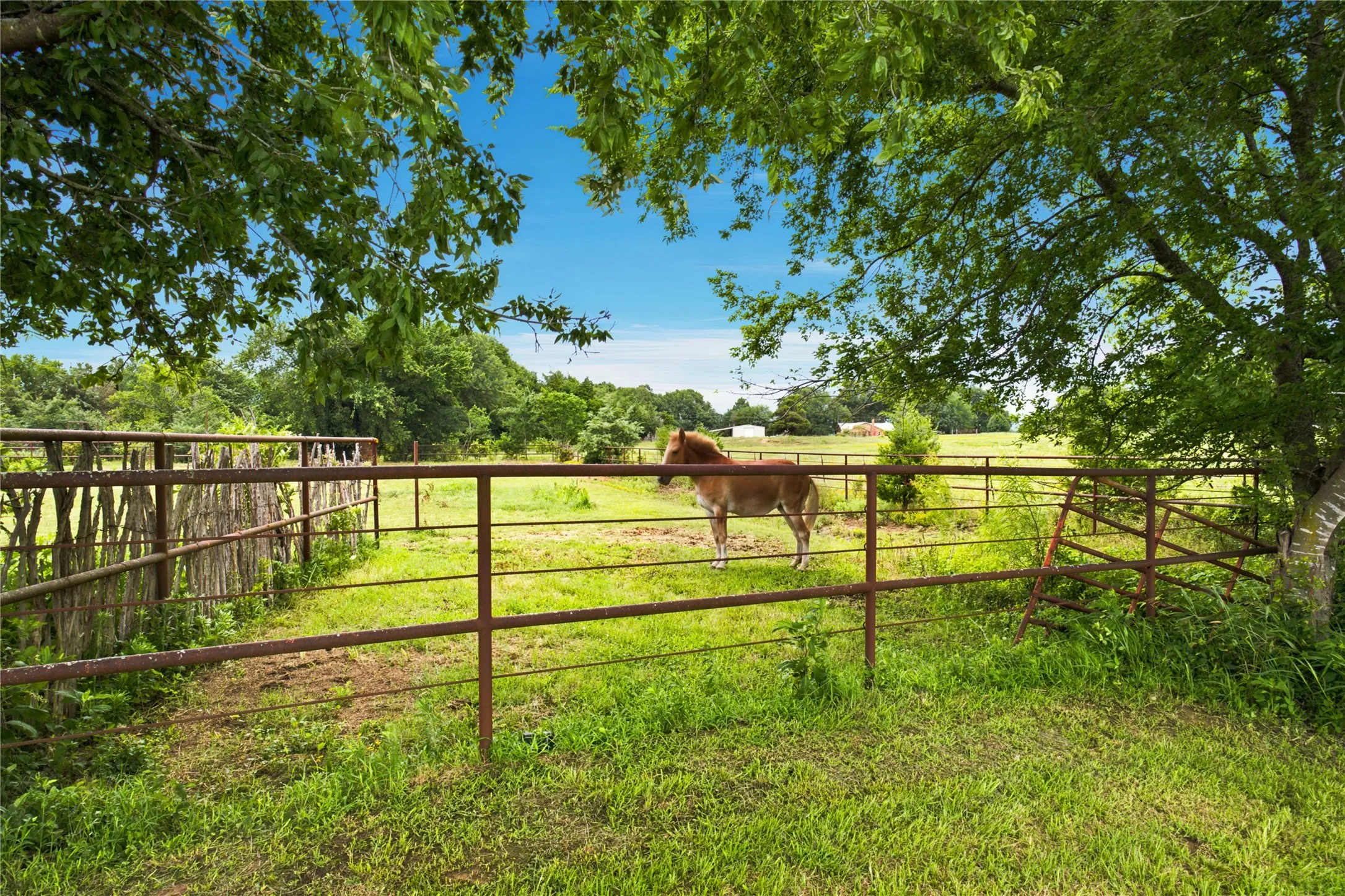 Single Family Residence For Sale in Fannin County , 13017 E Fm 273, Telephone, Texas 75488, 2 Bedroom, 1 Bathroom, Garage spaces, 1,332 Sqft, built in 1940, mls#21305185, Real Estate Agent in Telephone, Homes For Sale in Fannin county, Homes For Sale in Telephone, Realtor in Telephone Texas, Real Estate Brokerage Independent Realty Texas, Luminita Cordes Realtor