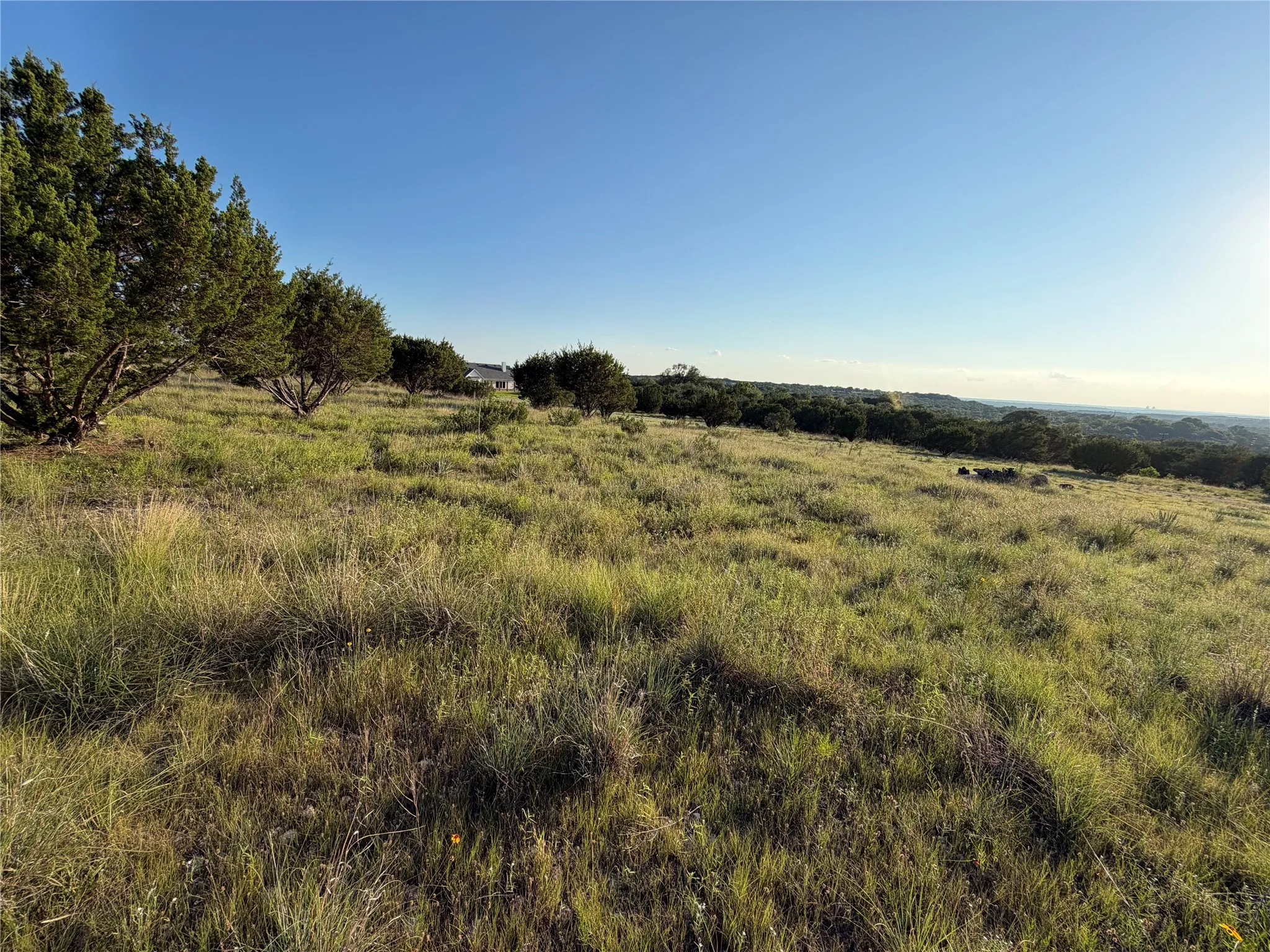 Unimproved Land For Sale in Somervell County , 1040 Cedar Hill Drive, Nemo, Texas 76070, 0, 0, Garage spaces, 0 Sqft, built in 0, mls#21304920, Real Estate Agent in Nemo, Homes For Sale in Somervell county, Homes For Sale in Nemo, Realtor in Nemo Texas, Real Estate Brokerage Independent Realty Texas, Luminita Cordes Realtor