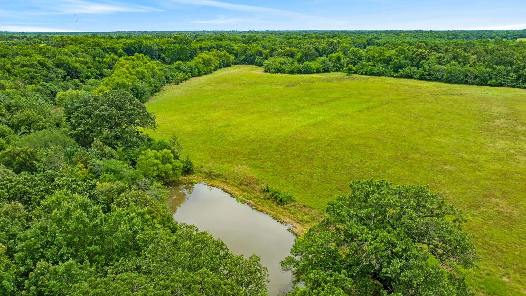 Farm For Sale in Lamar County , 1285 FARM ROAD 196, Pattonville, Texas 75468, 3 Bedroom, 3 Bathroom, Garage spaces, 2,475 Sqft, built in 0, mls#21311912, Real Estate Agent in Pattonville, Homes For Sale in Lamar county, Homes For Sale in Pattonville, Realtor in Pattonville Texas, Real Estate Brokerage Independent Realty Texas, Luminita Cordes Realtor