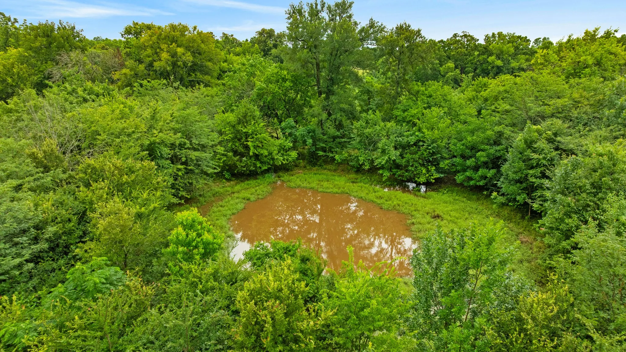Farm For Sale in Lamar County , 1285 FARM ROAD 196, Pattonville, Texas 75468, 3 Bedroom, 3 Bathroom, Garage spaces, 2,475 Sqft, built in 0, mls#21311912, Real Estate Agent in Pattonville, Homes For Sale in Lamar county, Homes For Sale in Pattonville, Realtor in Pattonville Texas, Real Estate Brokerage Independent Realty Texas, Luminita Cordes Realtor