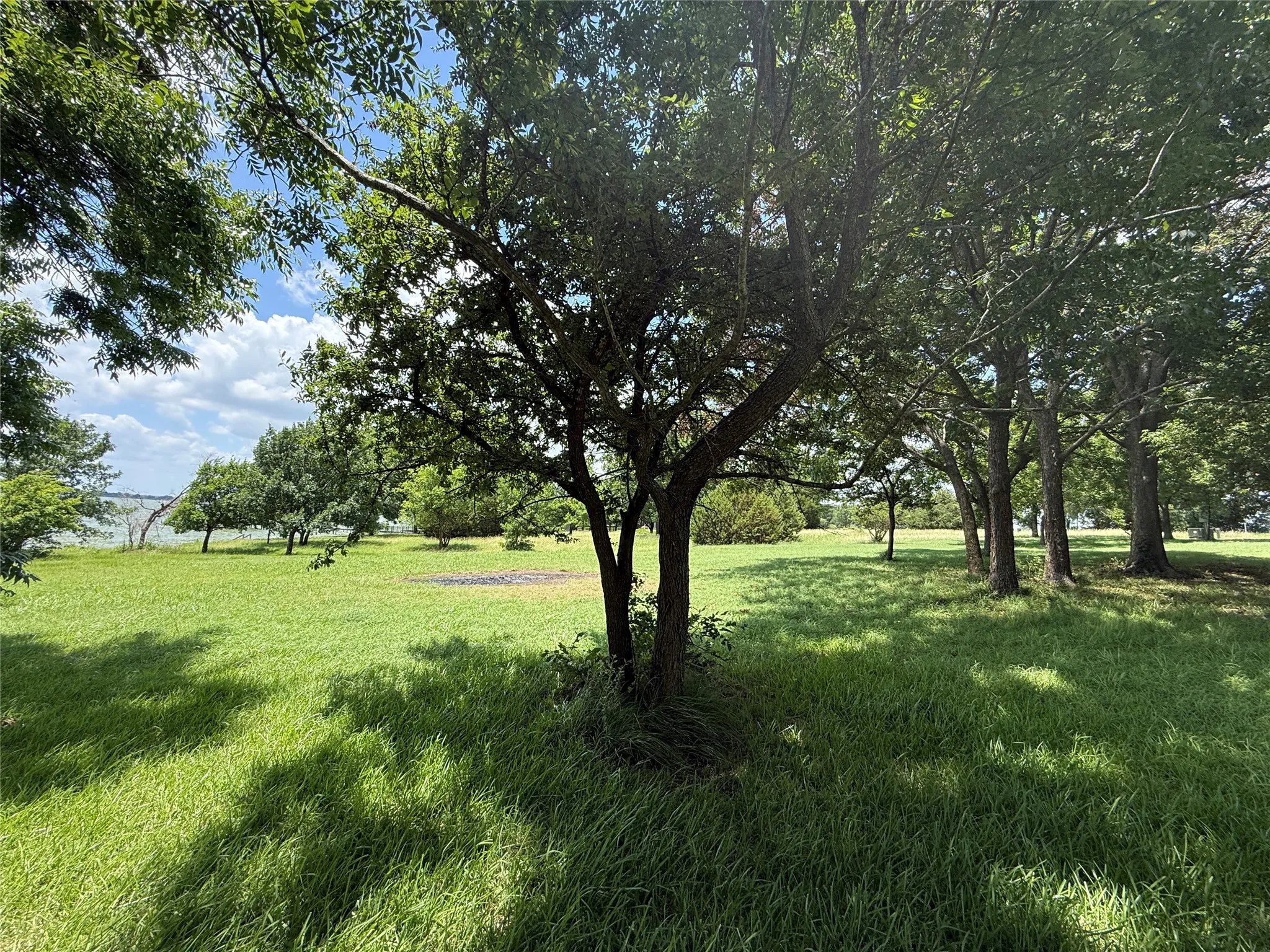 Peek through the trees and enjoy sparkling open-water views across Richland Chambers Lake.