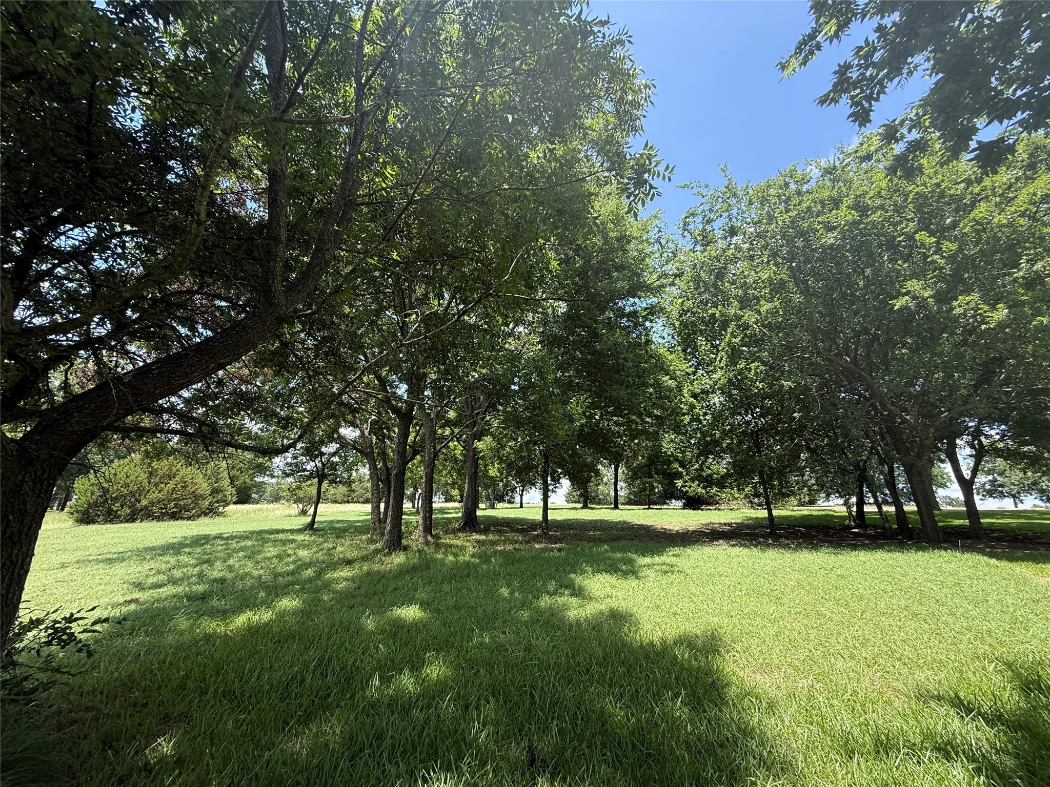 Towering shade trees create a private park-like setting rarely found on open-water lots.