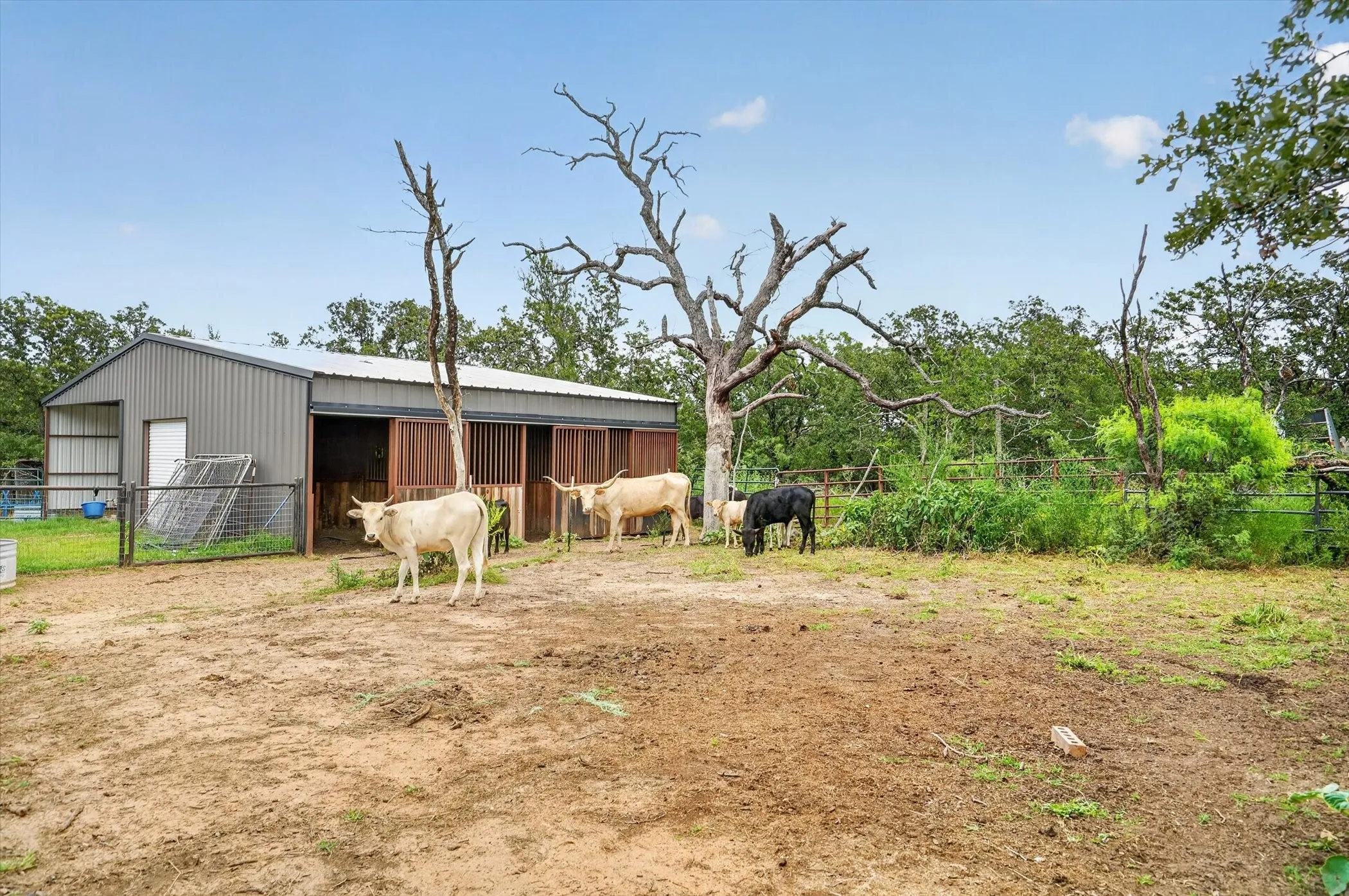 Single Family Residence For Sale in Wise County , 1017 County Road 3555, Paradise, Texas 76073, 4 Bedroom, 3 Bathroom, Garage spaces, 2,753 Sqft, built in 2006, mls#21311172, Real Estate Agent in Paradise, Homes For Sale in Wise county, Homes For Sale in Paradise, Realtor in Paradise Texas, Real Estate Brokerage Independent Realty Texas, Luminita Cordes Realtor