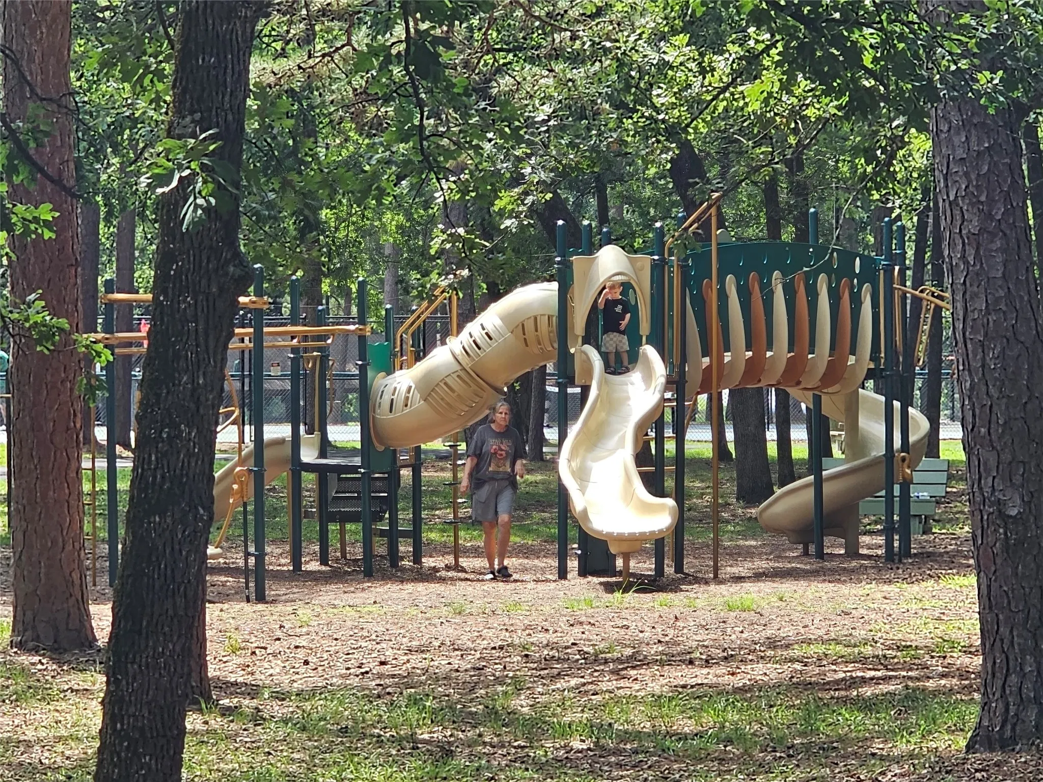 Expansive playground featuring multiple slides, climbing structures, and overhead bars set amidst mature trees
