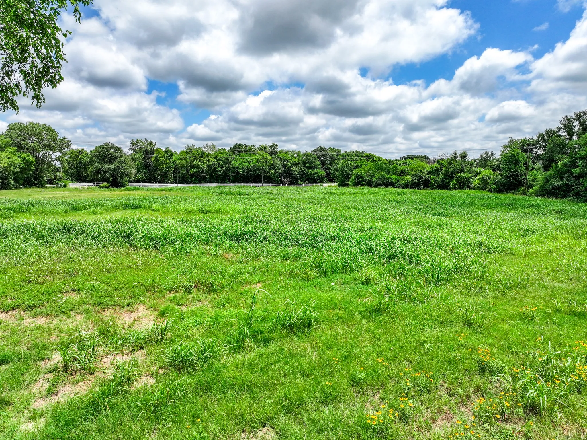 Unimproved Land For Sale in Kaufman County , 00 Co Rd 314, Terrell, Texas 75161, 0, 0, Garage spaces, 0 Sqft, built in 0, mls#21311397, Real Estate Agent in Terrell, Homes For Sale in Kaufman county, Homes For Sale in Terrell, Realtor in Terrell Texas, Real Estate Brokerage Independent Realty Texas, Luminita Cordes Realtor