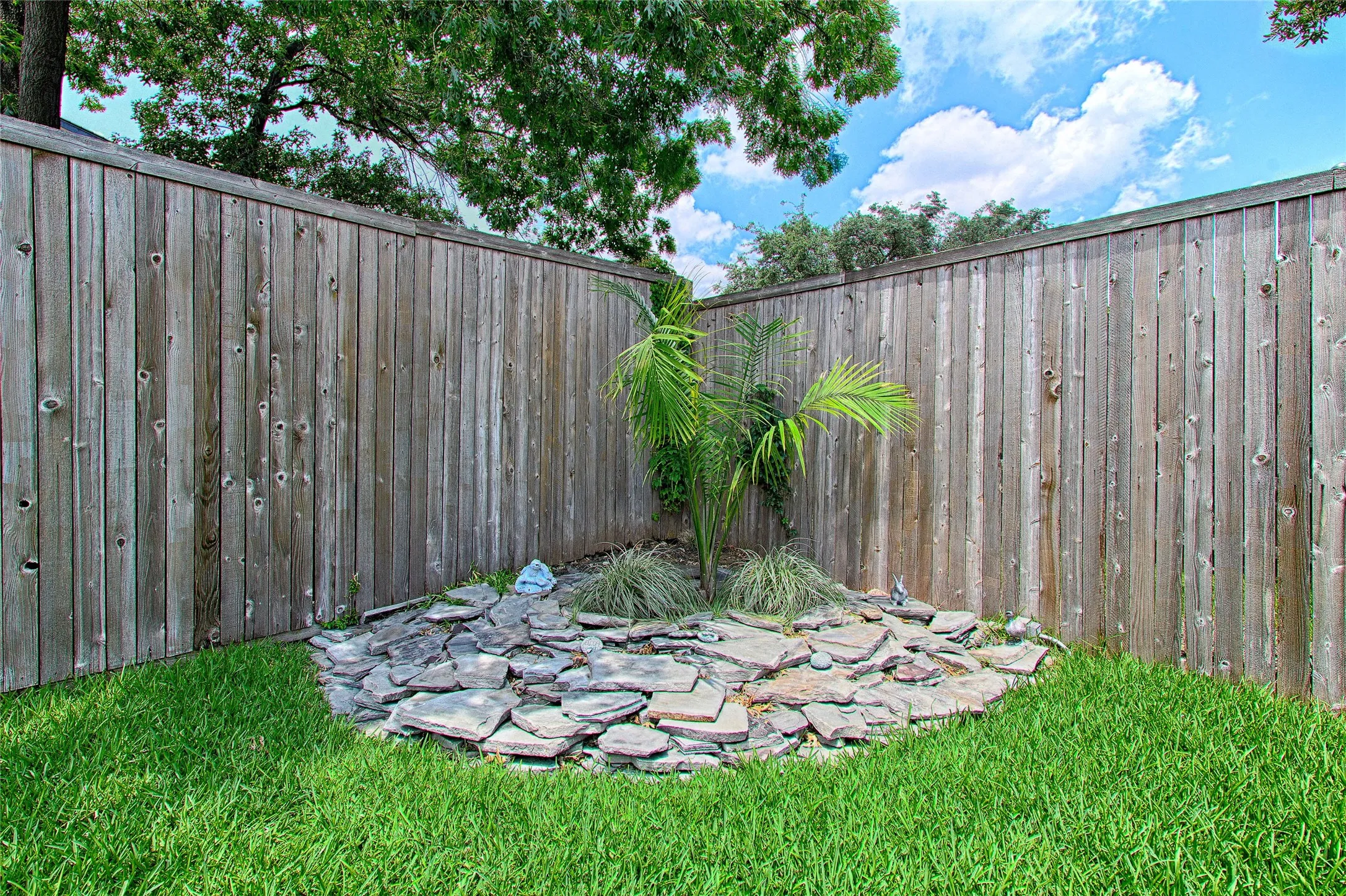 Landscaped corner featuring a small palm and accent plantings