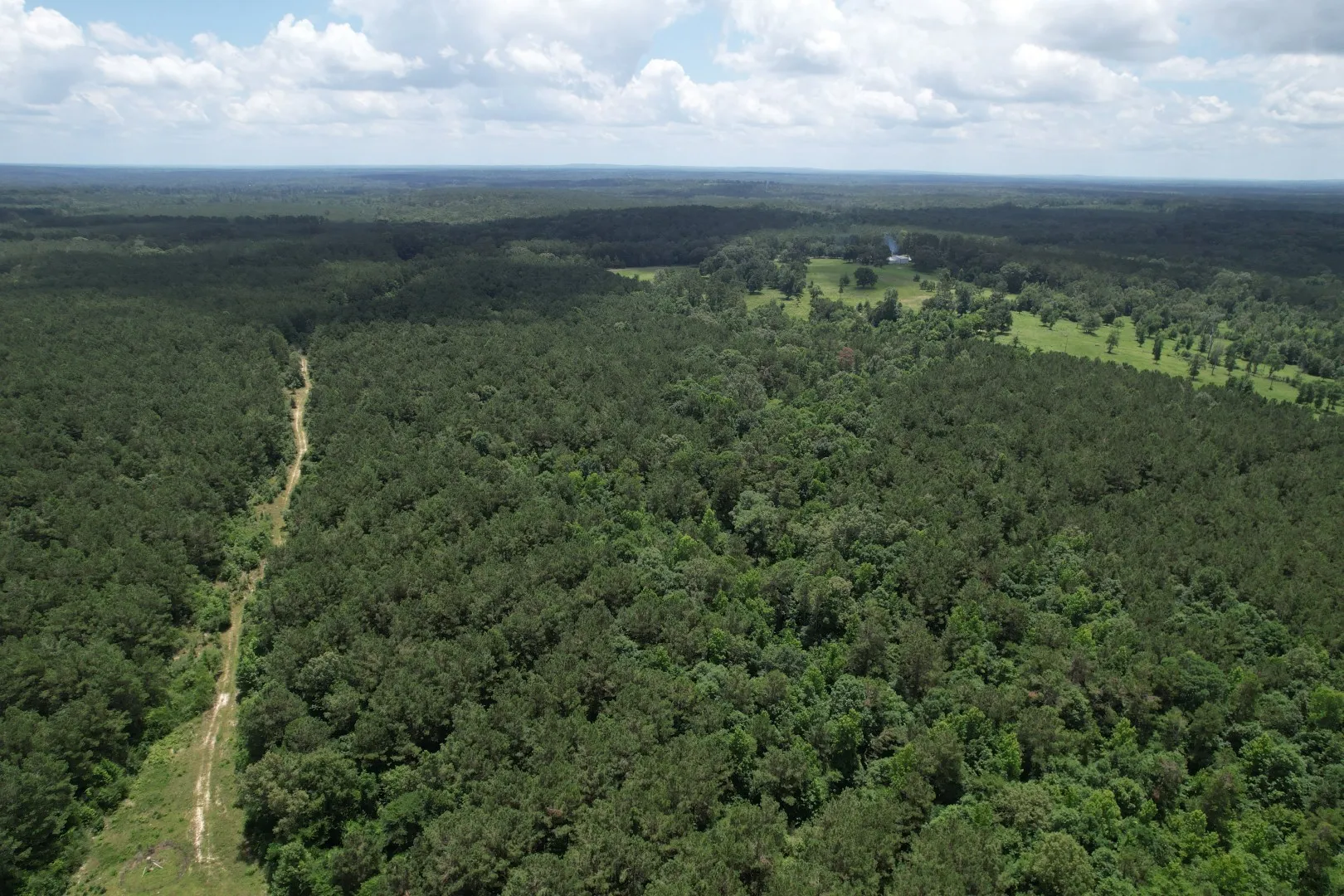 Unimproved Land For Sale in Panola County , TBD FM 999, Gary, Texas 75643, 0, 0, Garage spaces, 0 Sqft, built in 0, Price $722,750, mls#21312037, Real Estate Agent in Gary, Homes For Sale in Panola county, Homes For Sale in Gary, Realtor in Gary Texas, Real Estate Brokerage Independent Realty Texas, Luminita Cordes Realtor