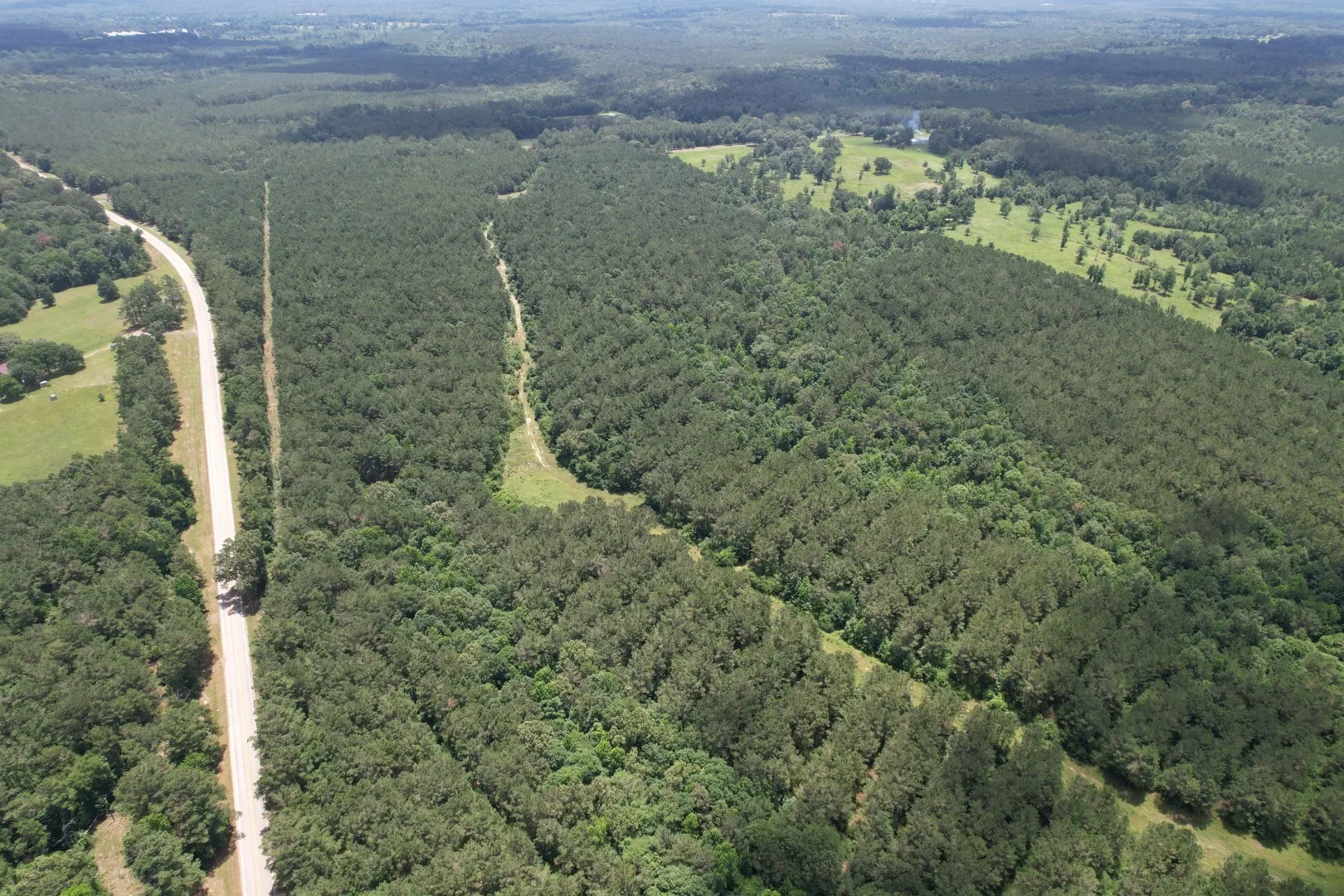 Unimproved Land For Sale in Panola County , TBD FM 999, Gary, Texas 75643, 0, 0, Garage spaces, 0 Sqft, built in 0, Price $722,750, mls#21312037, Real Estate Agent in Gary, Homes For Sale in Panola county, Homes For Sale in Gary, Realtor in Gary Texas, Real Estate Brokerage Independent Realty Texas, Luminita Cordes Realtor