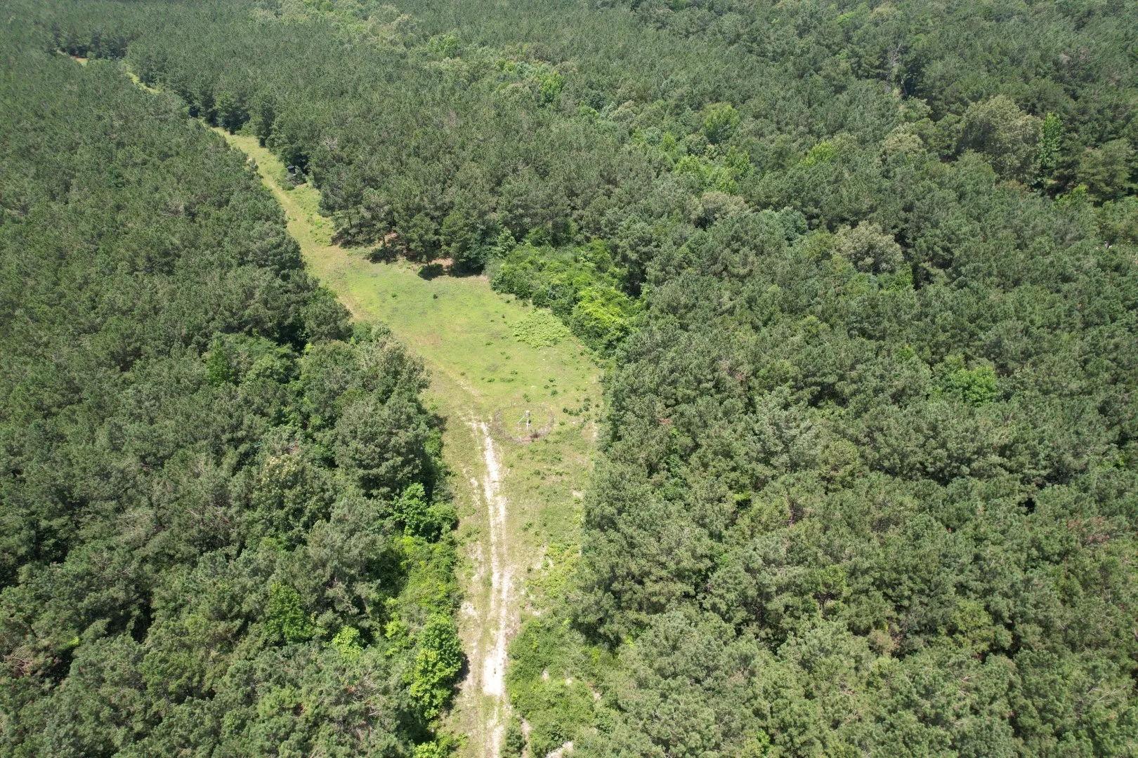 Unimproved Land For Sale in Panola County , TBD FM 999, Gary, Texas 75643, 0, 0, Garage spaces, 0 Sqft, built in 0, Price $722,750, mls#21312037, Real Estate Agent in Gary, Homes For Sale in Panola county, Homes For Sale in Gary, Realtor in Gary Texas, Real Estate Brokerage Independent Realty Texas, Luminita Cordes Realtor