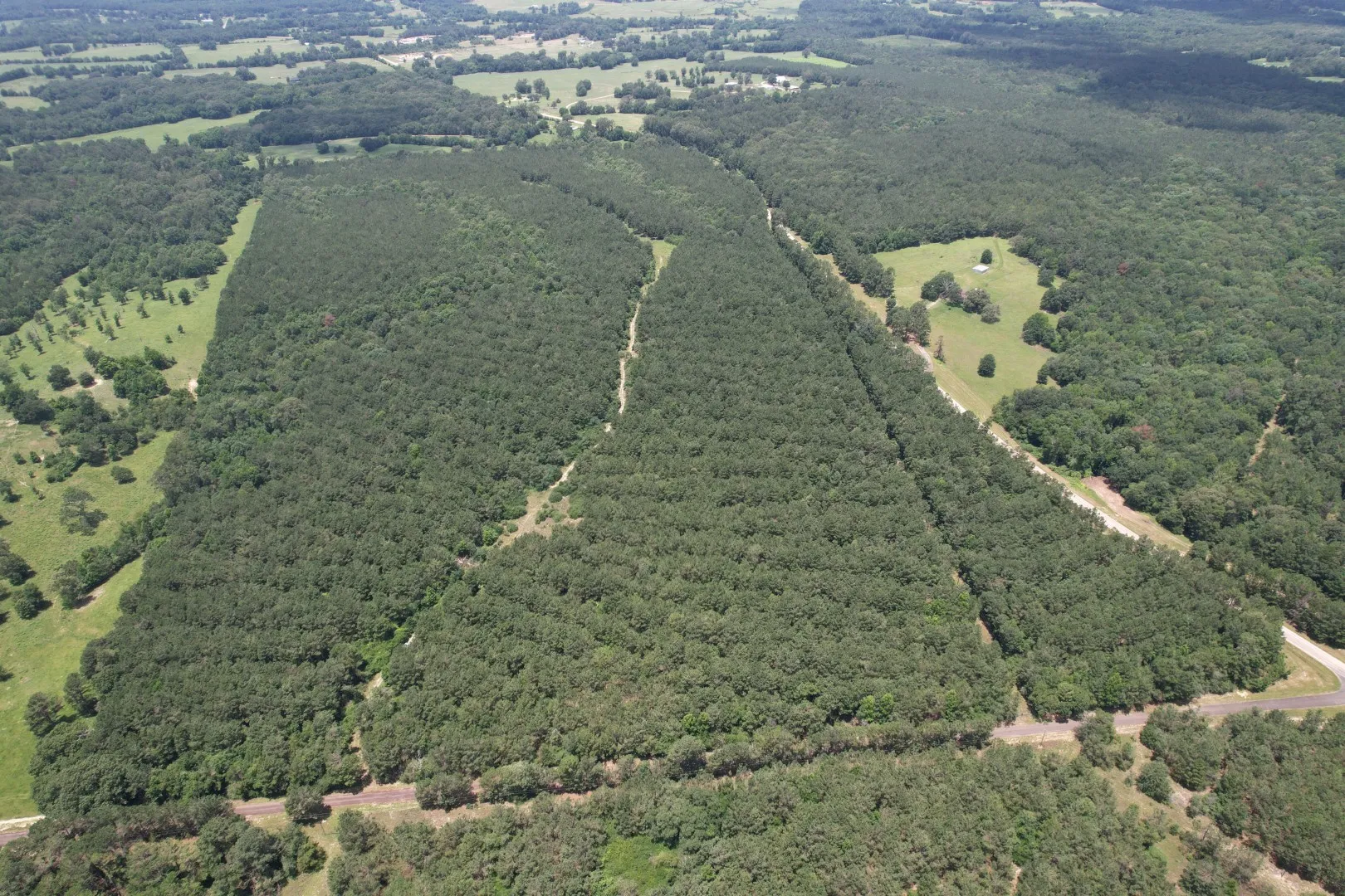 Unimproved Land For Sale in Panola County , TBD FM 999, Gary, Texas 75643, 0, 0, Garage spaces, 0 Sqft, built in 0, Price $722,750, mls#21312037, Real Estate Agent in Gary, Homes For Sale in Panola county, Homes For Sale in Gary, Realtor in Gary Texas, Real Estate Brokerage Independent Realty Texas, Luminita Cordes Realtor