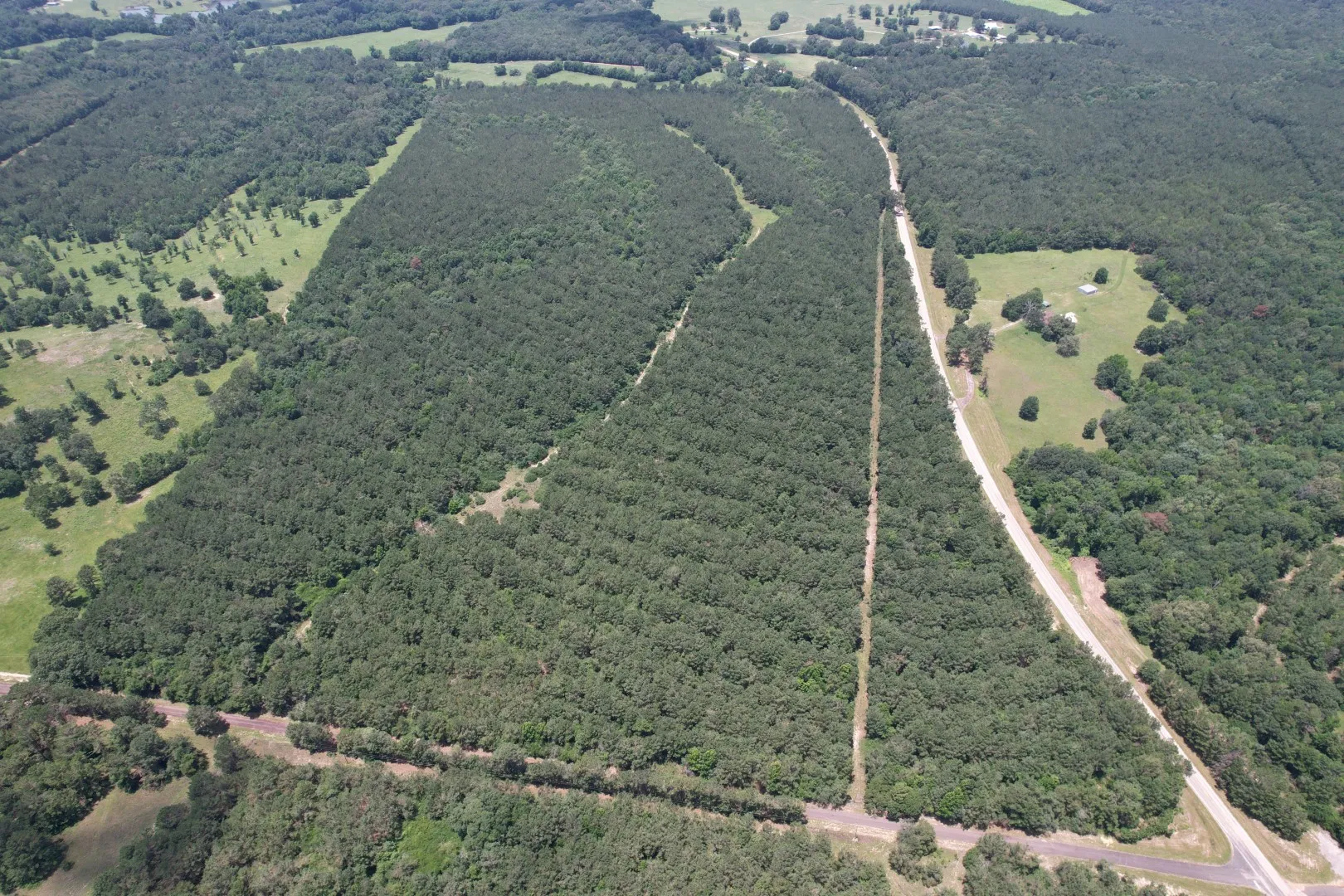 Unimproved Land For Sale in Panola County , TBD FM 999, Gary, Texas 75643, 0, 0, Garage spaces, 0 Sqft, built in 0, Price $722,750, mls#21312037, Real Estate Agent in Gary, Homes For Sale in Panola county, Homes For Sale in Gary, Realtor in Gary Texas, Real Estate Brokerage Independent Realty Texas, Luminita Cordes Realtor