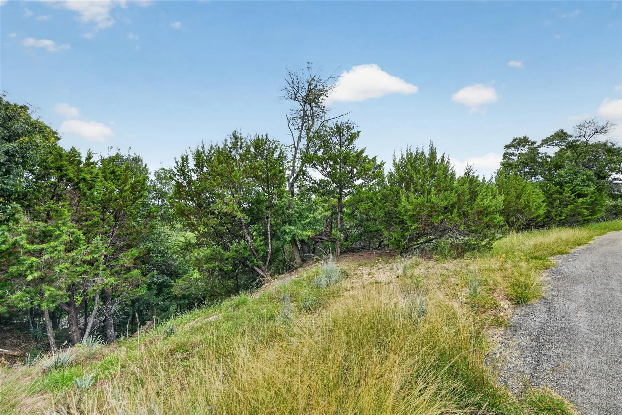 Unimproved Land For Sale in Parker County , Lot 13 Burton Hill, Weatherford, Texas 76087, 0, 0, Garage spaces, 0 Sqft, built in 0, mls#21311707, Real Estate Agent in Weatherford, Homes For Sale in Parker county, Homes For Sale in Weatherford, Realtor in Weatherford Texas, Real Estate Brokerage Independent Realty Texas, Luminita Cordes Realtor