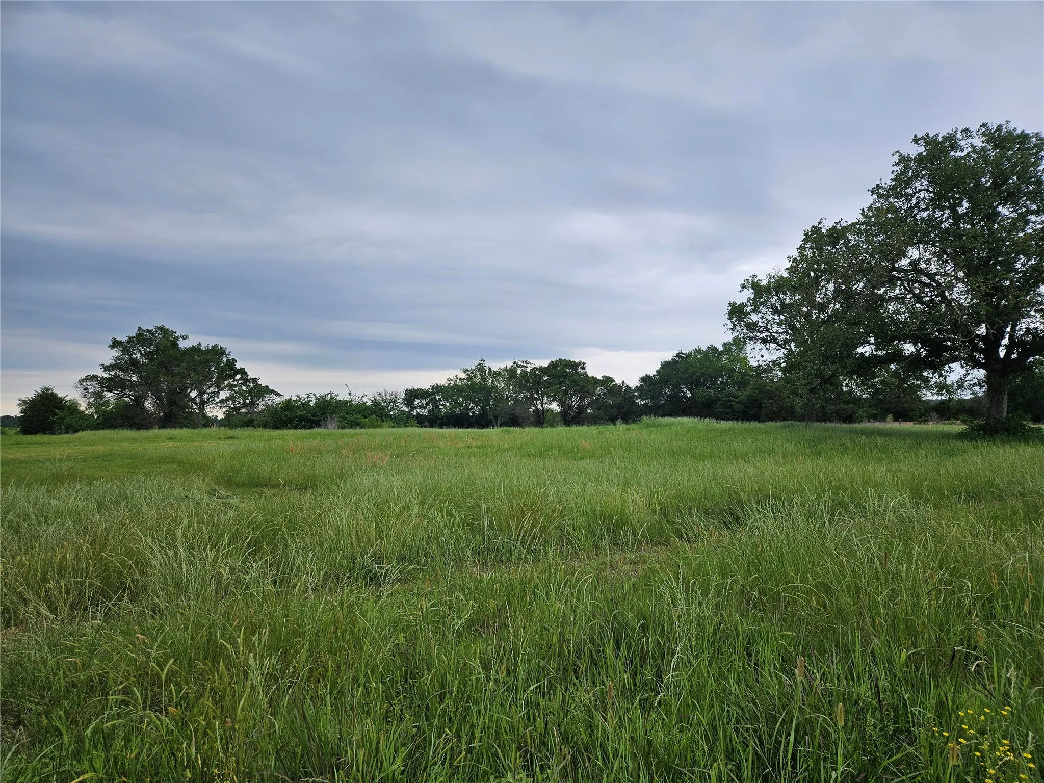 Unimproved Land For Sale in Van Zandt County , 10224 Fm 1861, Eustace, Texas 75124, 0, 0, Garage spaces, 0 Sqft, built in 0, Price $280,000, mls#21312051, Real Estate Agent in Eustace, Homes For Sale in Van Zandt county, Homes For Sale in Eustace, Realtor in Eustace Texas, Real Estate Brokerage Independent Realty Texas, Luminita Cordes Realtor