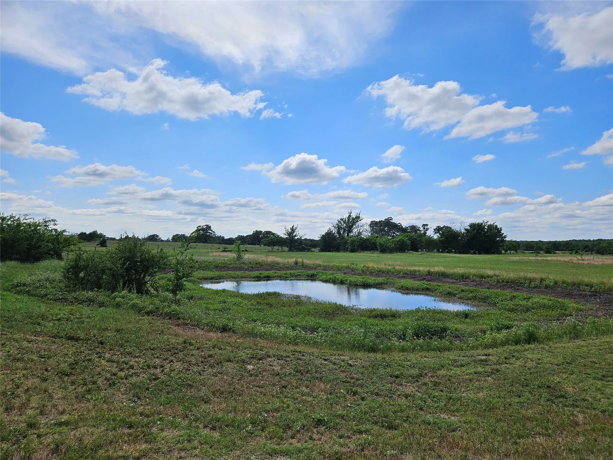 Unimproved Land For Sale in Van Zandt County , 10224 Fm 1861, Eustace, Texas 75124, 0, 0, Garage spaces, 0 Sqft, built in 0, Price $280,000, mls#21312051, Real Estate Agent in Eustace, Homes For Sale in Van Zandt county, Homes For Sale in Eustace, Realtor in Eustace Texas, Real Estate Brokerage Independent Realty Texas, Luminita Cordes Realtor