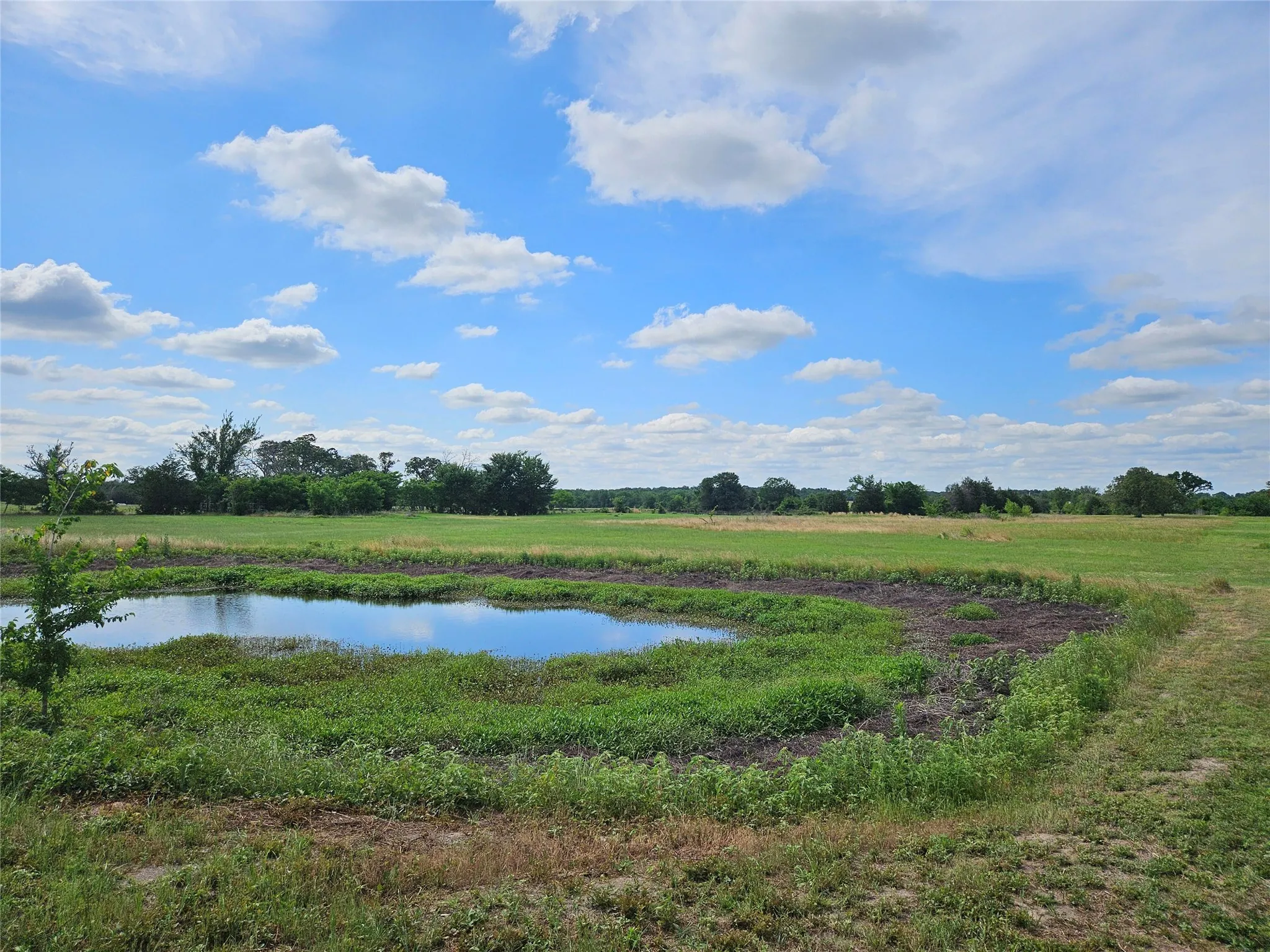 Unimproved Land For Sale in Van Zandt County , 10224 Fm 1861, Eustace, Texas 75124, 0, 0, Garage spaces, 0 Sqft, built in 0, Price $280,000, mls#21312051, Real Estate Agent in Eustace, Homes For Sale in Van Zandt county, Homes For Sale in Eustace, Realtor in Eustace Texas, Real Estate Brokerage Independent Realty Texas, Luminita Cordes Realtor
