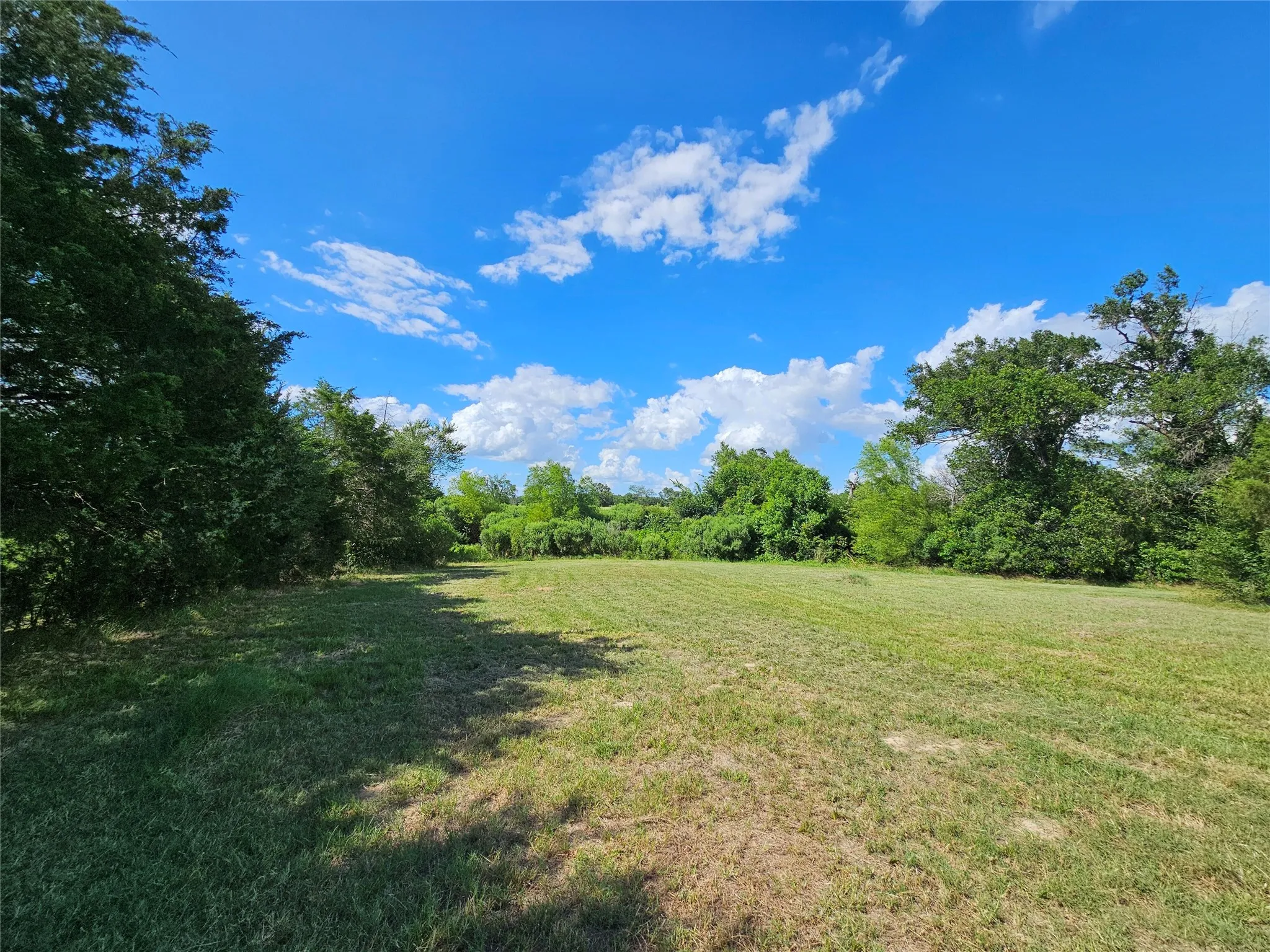 Unimproved Land For Sale in Van Zandt County , 10224 Fm 1861, Eustace, Texas 75124, 0, 0, Garage spaces, 0 Sqft, built in 0, Price $280,000, mls#21312051, Real Estate Agent in Eustace, Homes For Sale in Van Zandt county, Homes For Sale in Eustace, Realtor in Eustace Texas, Real Estate Brokerage Independent Realty Texas, Luminita Cordes Realtor