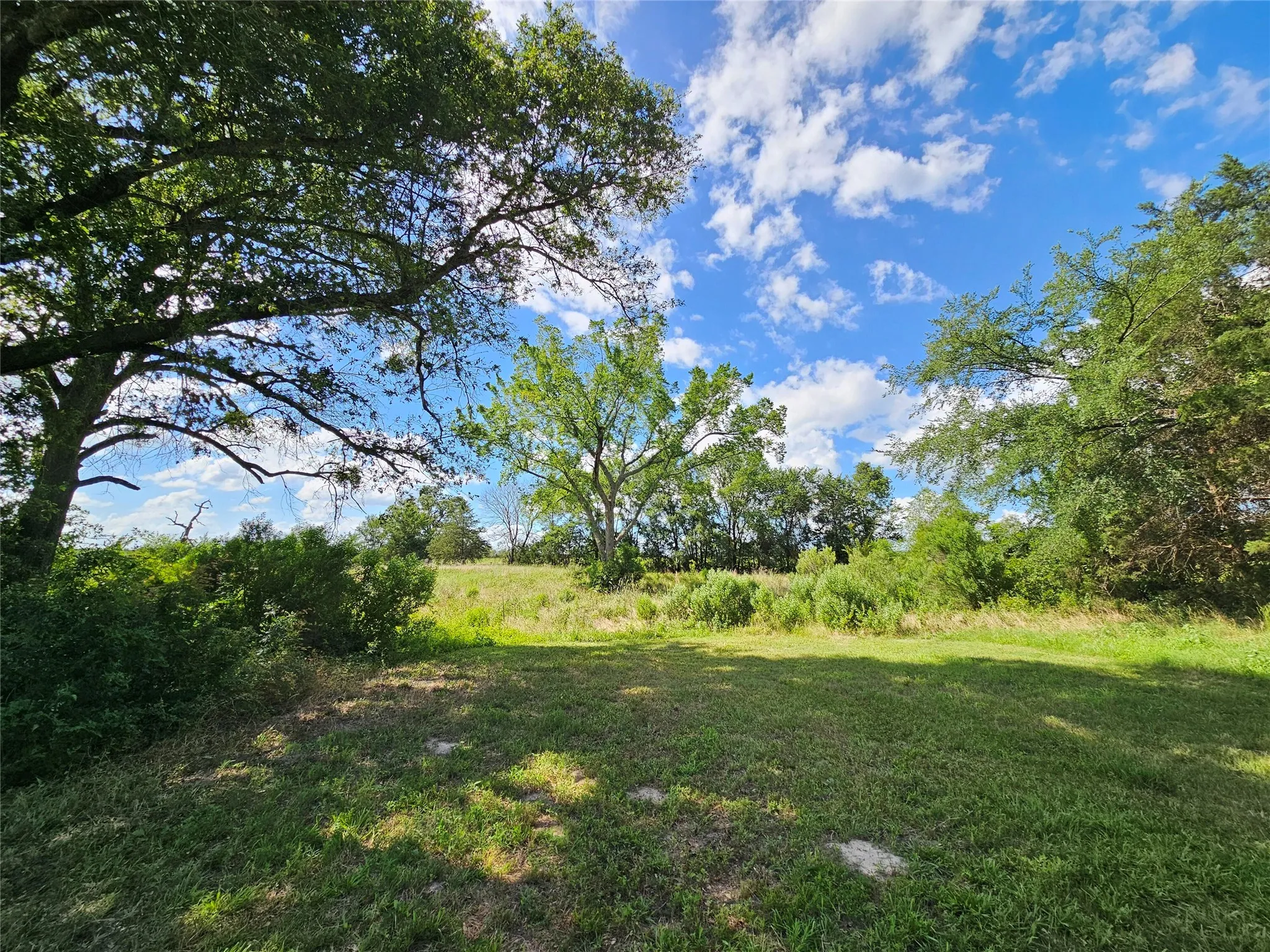 Unimproved Land For Sale in Van Zandt County , 10224 Fm 1861, Eustace, Texas 75124, 0, 0, Garage spaces, 0 Sqft, built in 0, Price $280,000, mls#21312051, Real Estate Agent in Eustace, Homes For Sale in Van Zandt county, Homes For Sale in Eustace, Realtor in Eustace Texas, Real Estate Brokerage Independent Realty Texas, Luminita Cordes Realtor