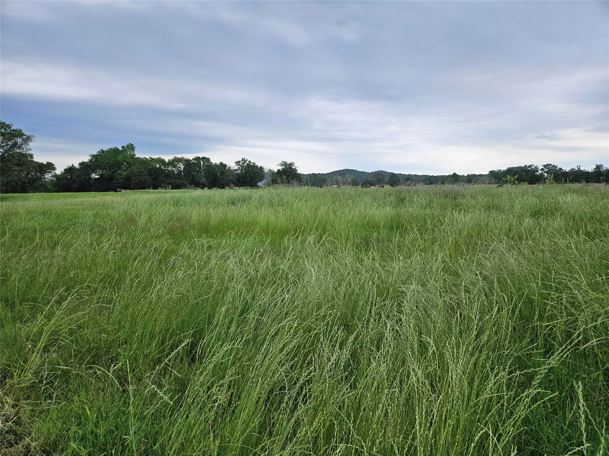 Unimproved Land For Sale in Van Zandt County , 10224 Fm 1861, Eustace, Texas 75124, 0, 0, Garage spaces, 0 Sqft, built in 0, Price $280,000, mls#21312051, Real Estate Agent in Eustace, Homes For Sale in Van Zandt county, Homes For Sale in Eustace, Realtor in Eustace Texas, Real Estate Brokerage Independent Realty Texas, Luminita Cordes Realtor