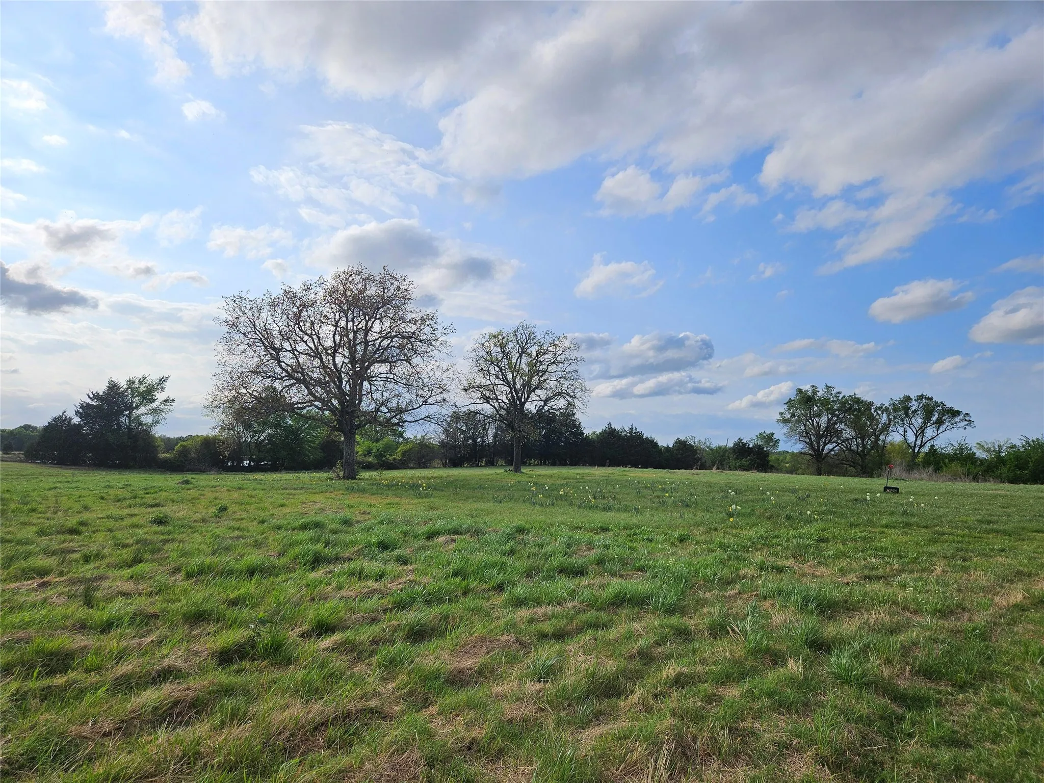 Unimproved Land For Sale in Van Zandt County , 10224 Fm 1861, Eustace, Texas 75124, 0, 0, Garage spaces, 0 Sqft, built in 0, Price $280,000, mls#21312051, Real Estate Agent in Eustace, Homes For Sale in Van Zandt county, Homes For Sale in Eustace, Realtor in Eustace Texas, Real Estate Brokerage Independent Realty Texas, Luminita Cordes Realtor