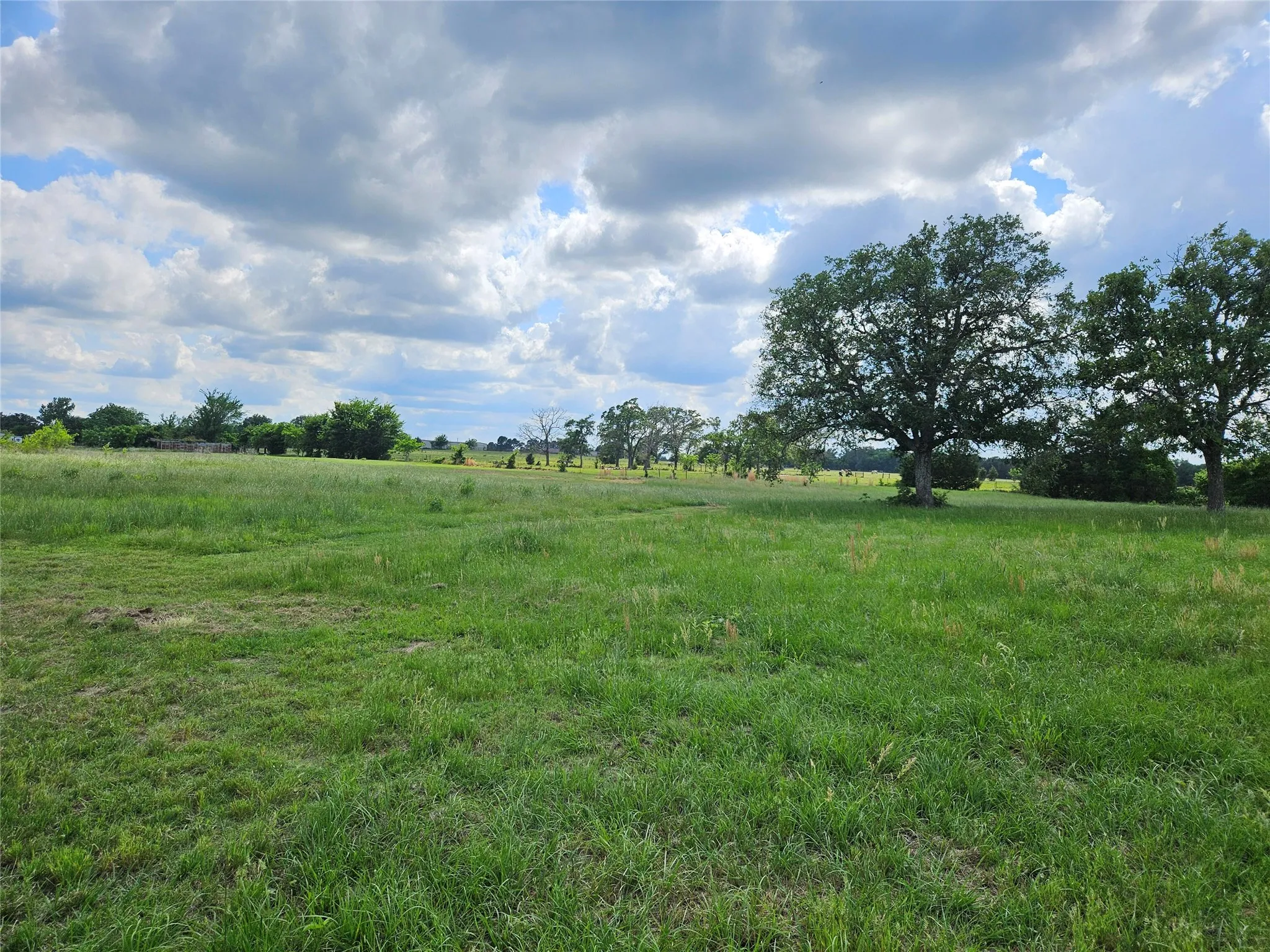 Unimproved Land For Sale in Van Zandt County , 10224 Fm 1861, Eustace, Texas 75124, 0, 0, Garage spaces, 0 Sqft, built in 0, Price $280,000, mls#21312051, Real Estate Agent in Eustace, Homes For Sale in Van Zandt county, Homes For Sale in Eustace, Realtor in Eustace Texas, Real Estate Brokerage Independent Realty Texas, Luminita Cordes Realtor