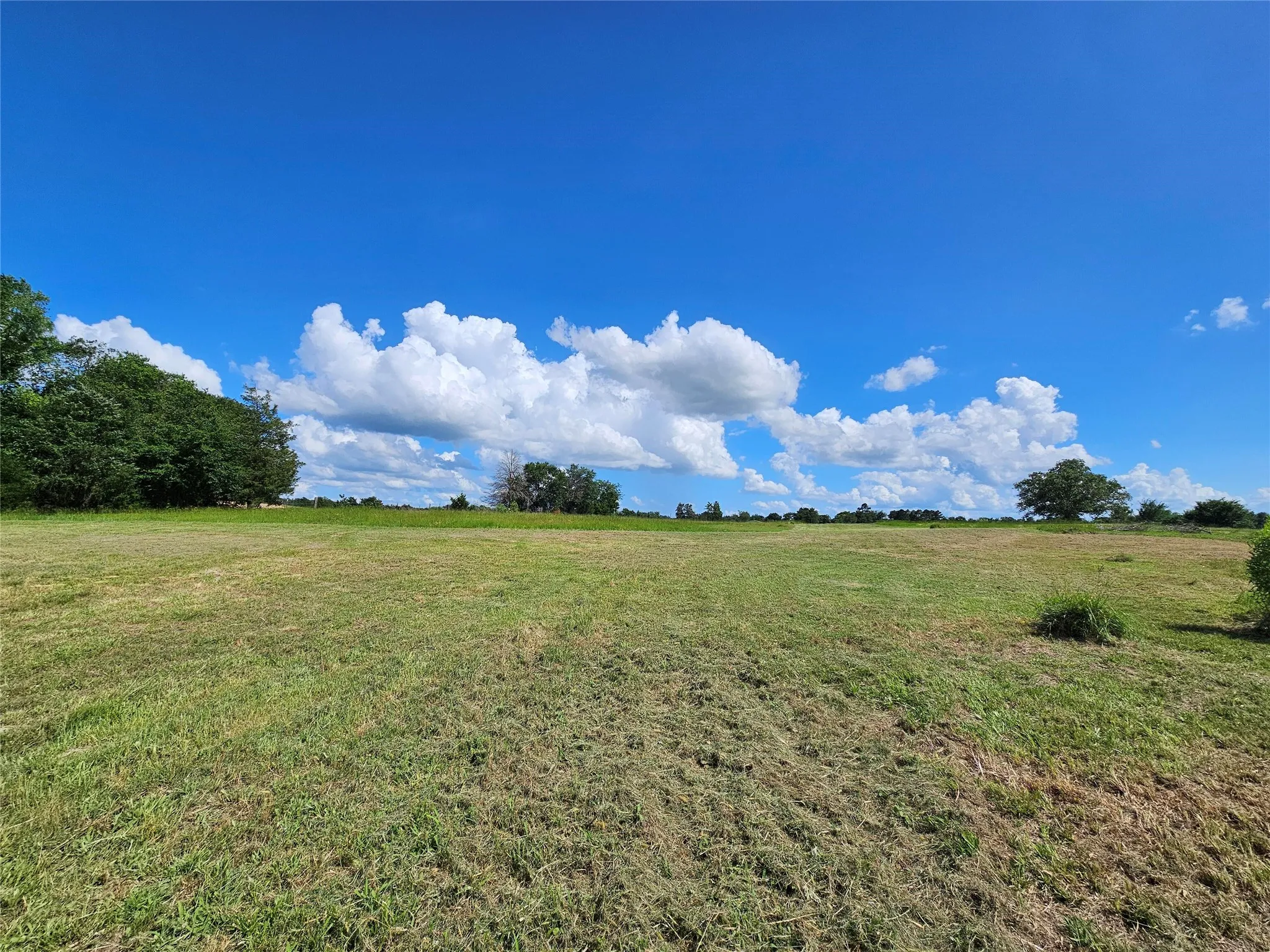 Unimproved Land For Sale in Van Zandt County , 10224 Fm 1861, Eustace, Texas 75124, 0, 0, Garage spaces, 0 Sqft, built in 0, Price $280,000, mls#21312051, Real Estate Agent in Eustace, Homes For Sale in Van Zandt county, Homes For Sale in Eustace, Realtor in Eustace Texas, Real Estate Brokerage Independent Realty Texas, Luminita Cordes Realtor