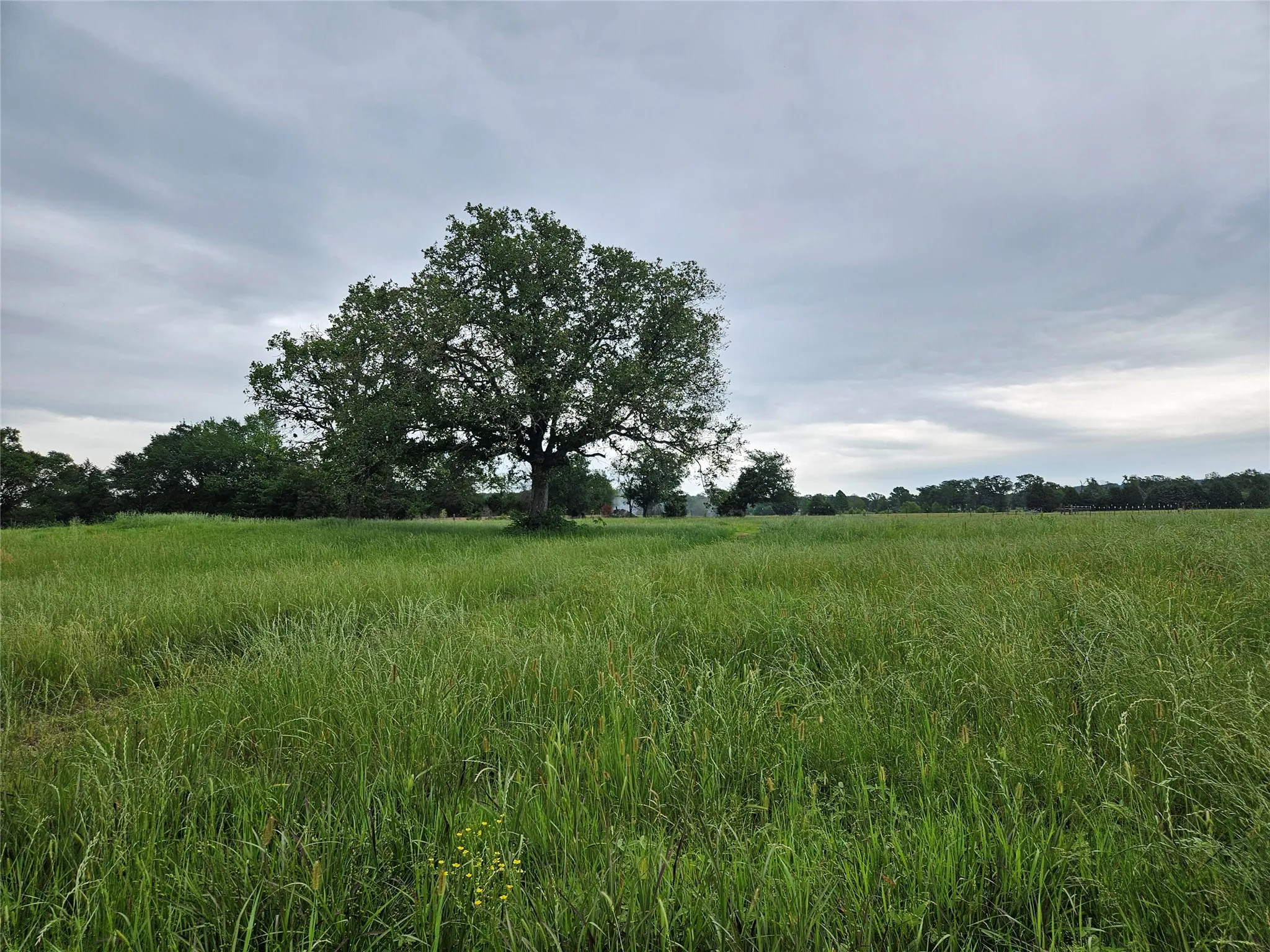 Unimproved Land For Sale in Van Zandt County , 10224 Fm 1861, Eustace, Texas 75124, 0, 0, Garage spaces, 0 Sqft, built in 0, Price $280,000, mls#21312051, Real Estate Agent in Eustace, Homes For Sale in Van Zandt county, Homes For Sale in Eustace, Realtor in Eustace Texas, Real Estate Brokerage Independent Realty Texas, Luminita Cordes Realtor